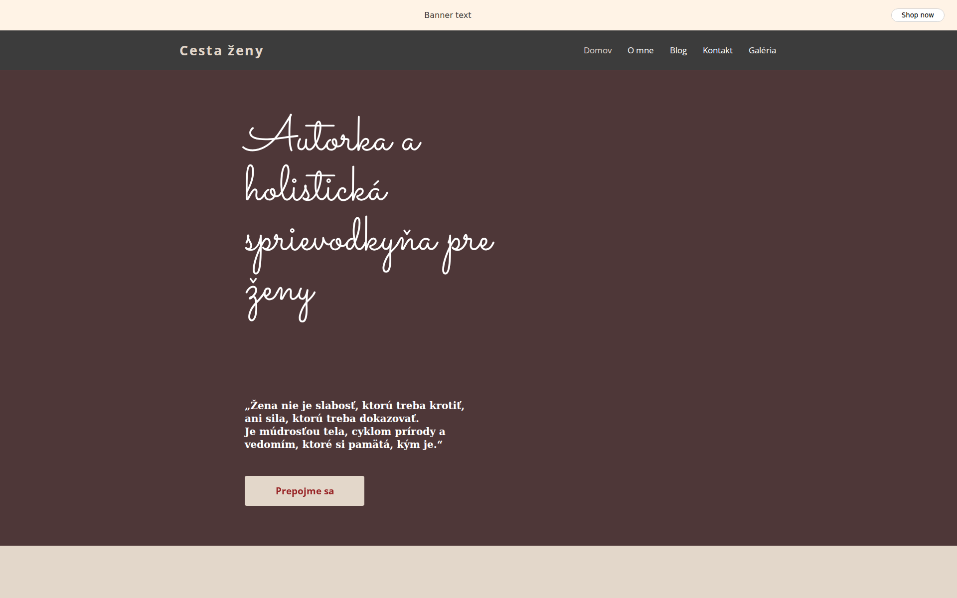 Náhľad webu andymolnarova.sk