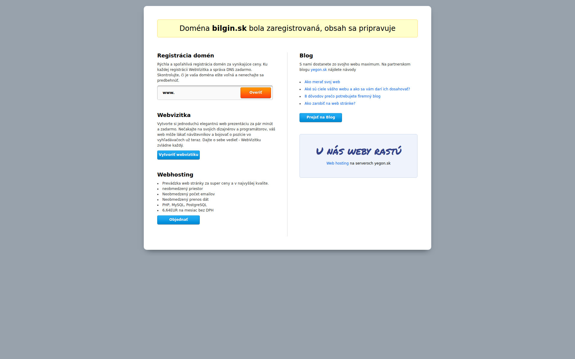 Náhľad webu bilgin.sk