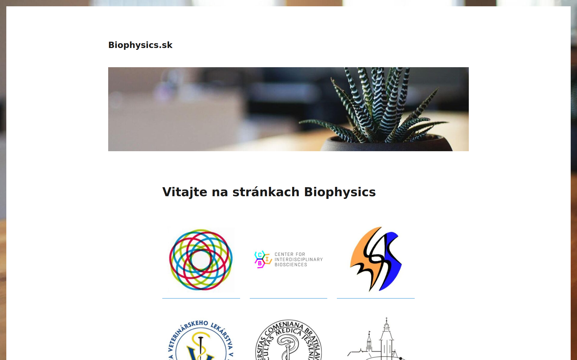 Náhľad webu biophysics.sk