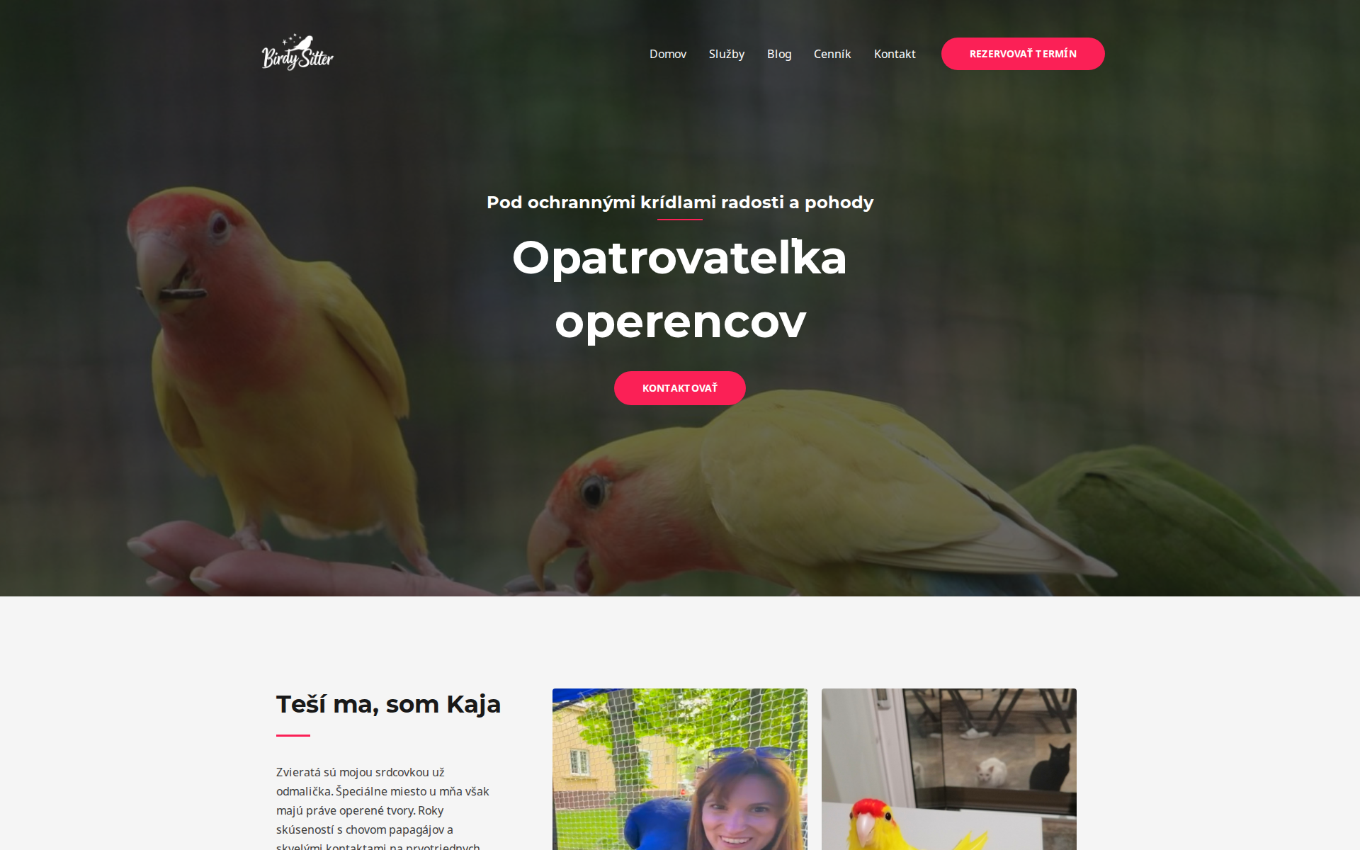 Náhľad webu birdysitter.sk