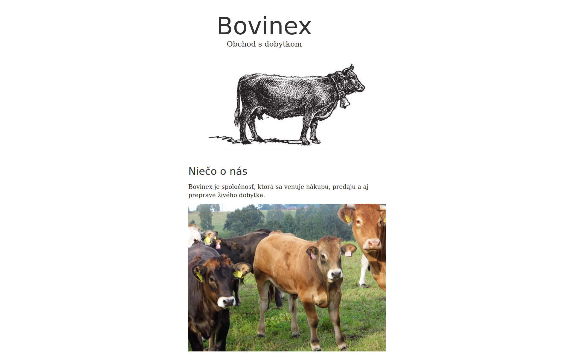 Náhľad webu bovinex.sk