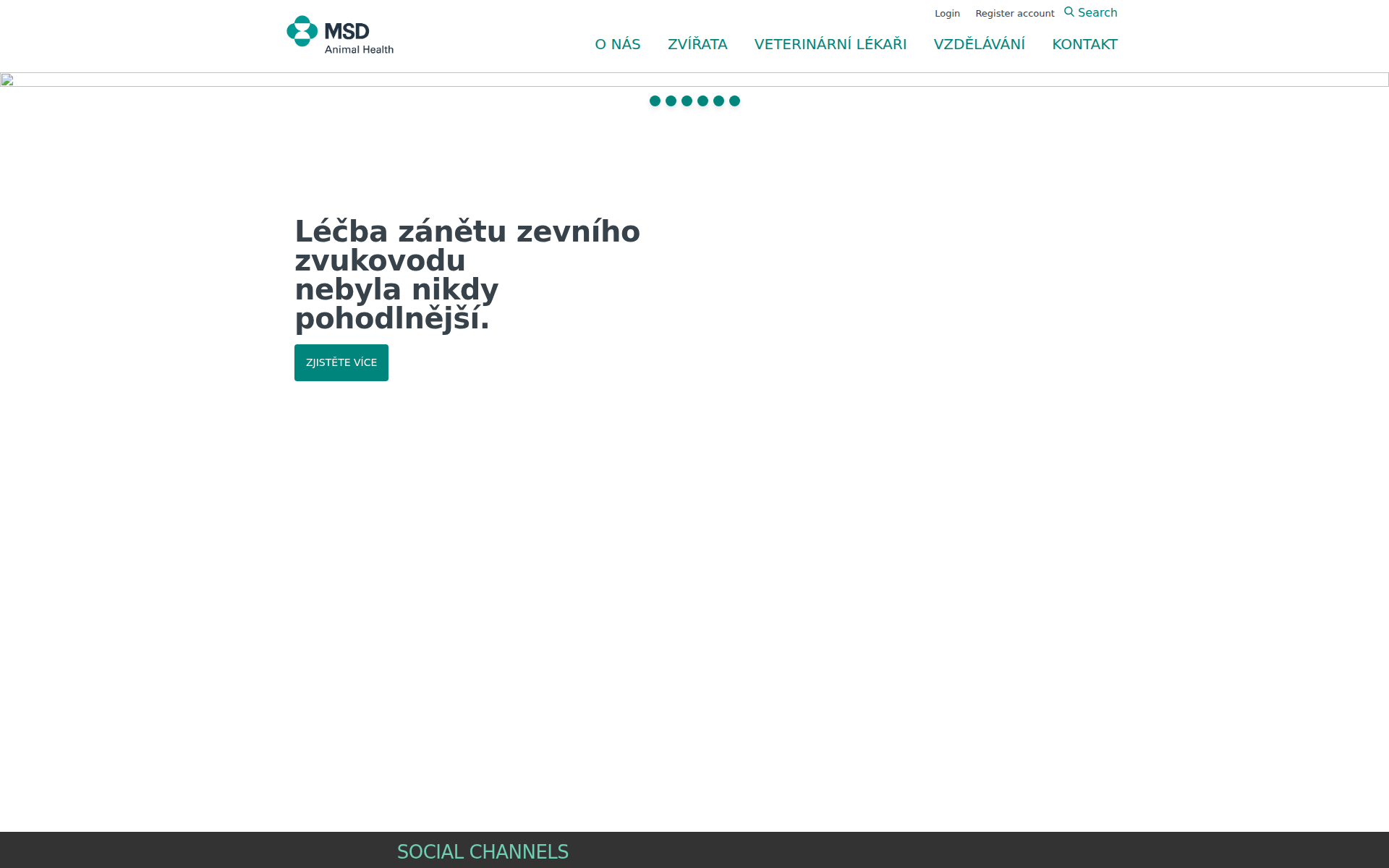 Náhľad webu bravopets.sk