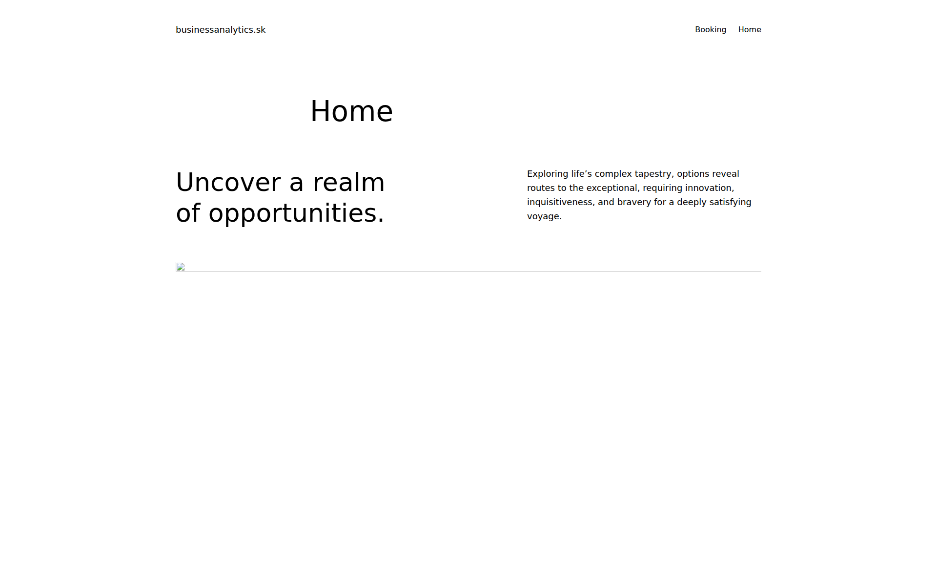 Náhľad webu businessanalytics.sk