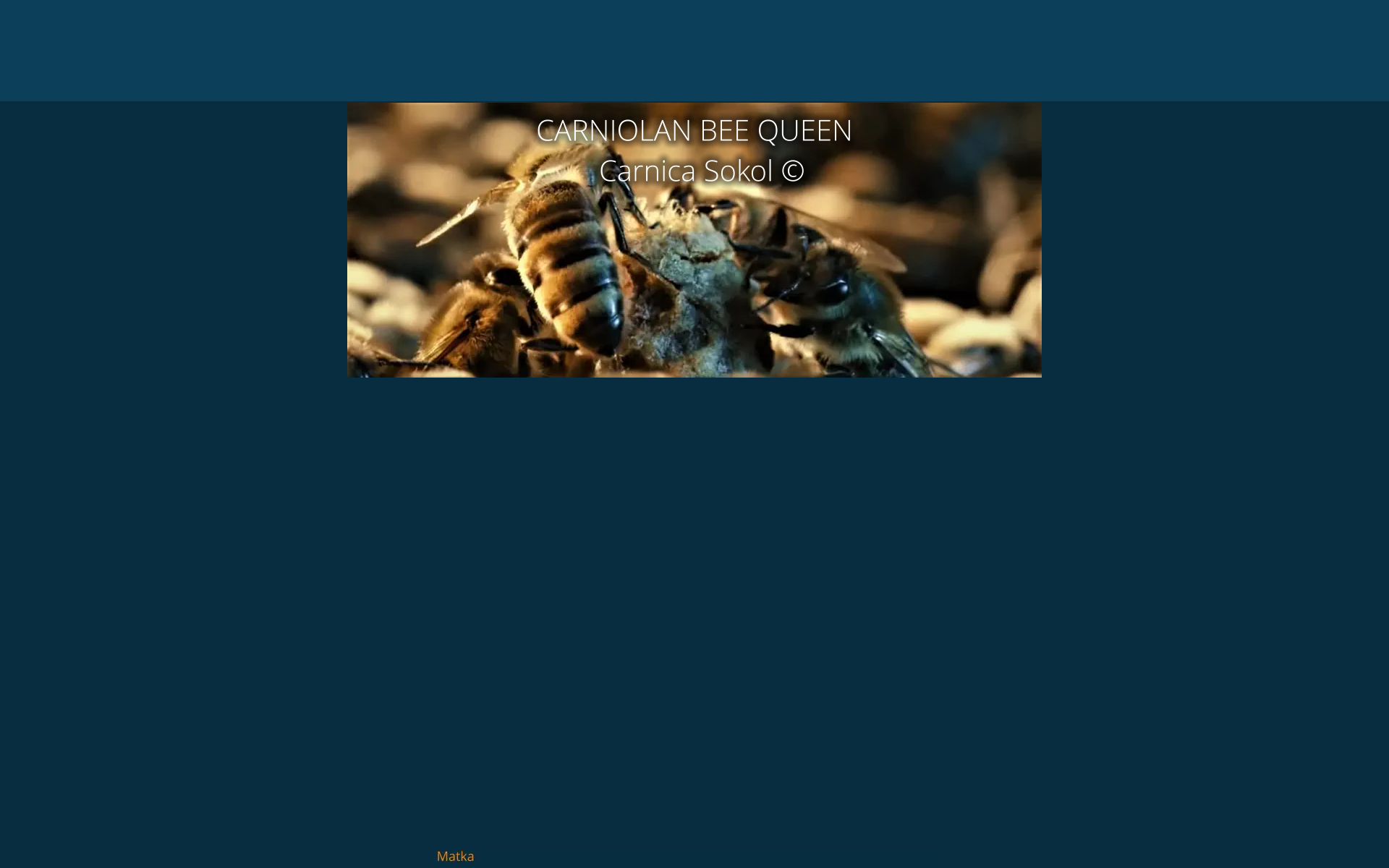 Náhľad webu carniolan-bees.sk