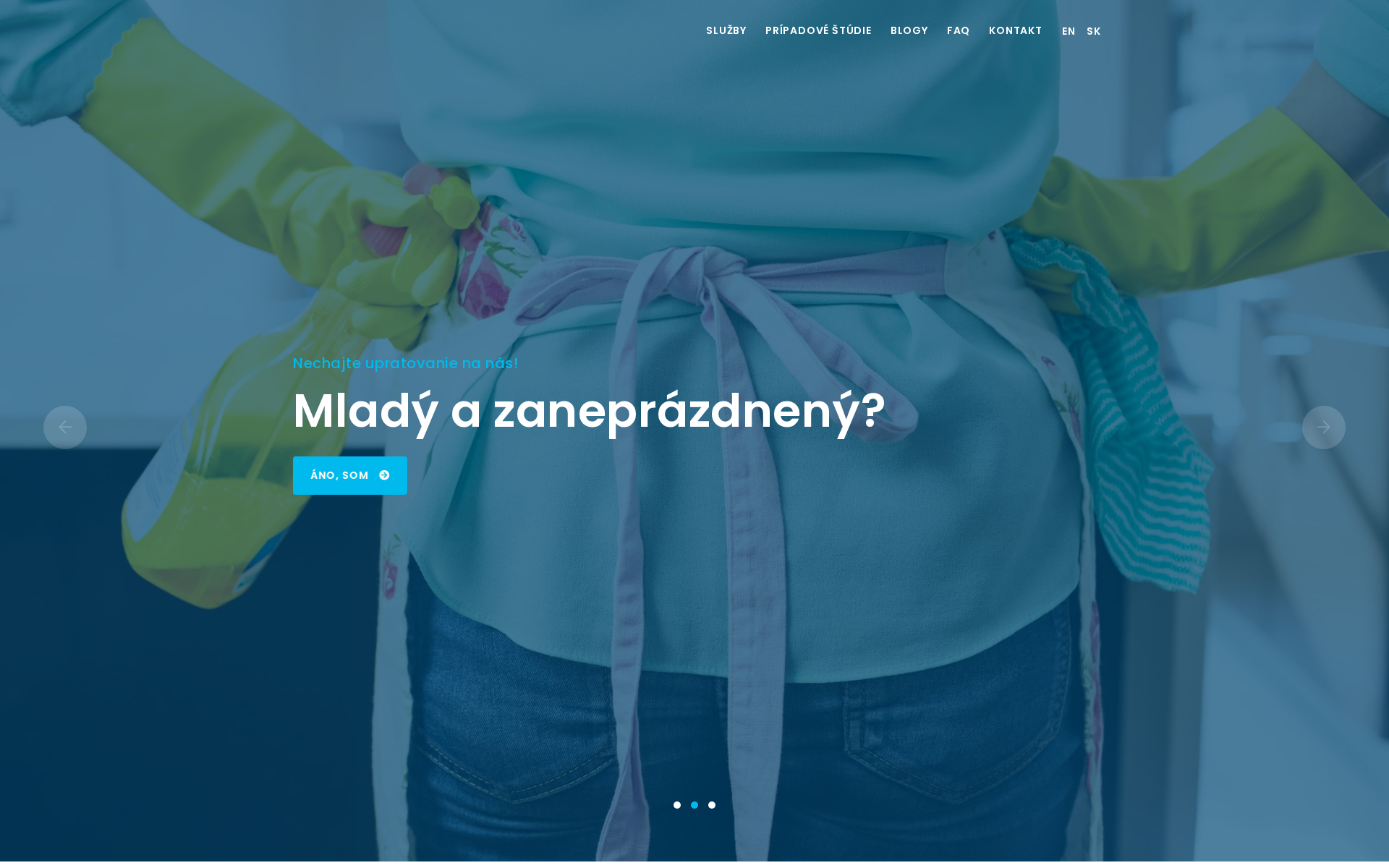 Náhľad webu cleaningservices.sk