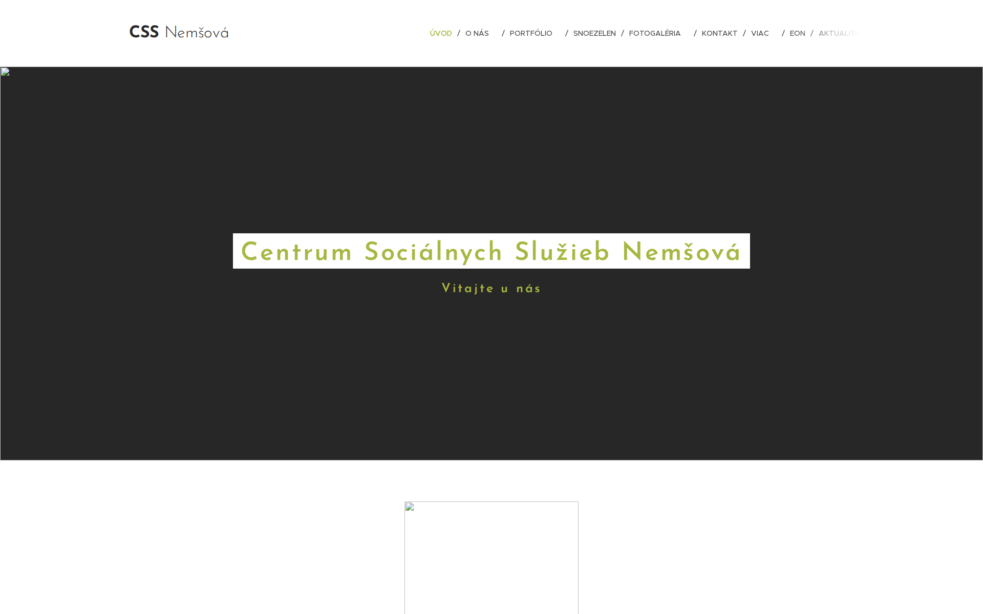 Náhľad webu css-nemsova.sk