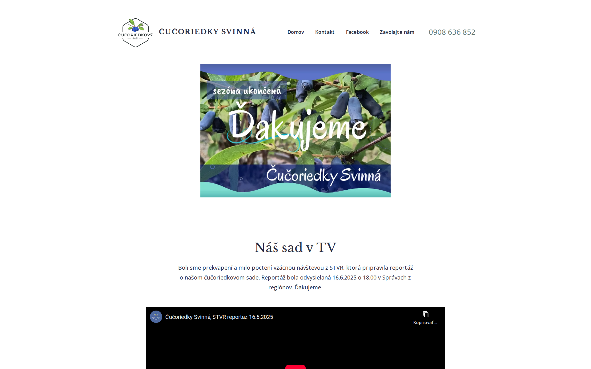 Náhľad webu cucoriedkysvinna.sk