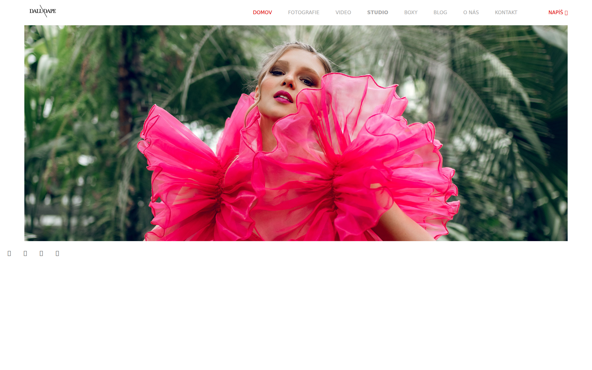 Náhľad webu daludape.sk