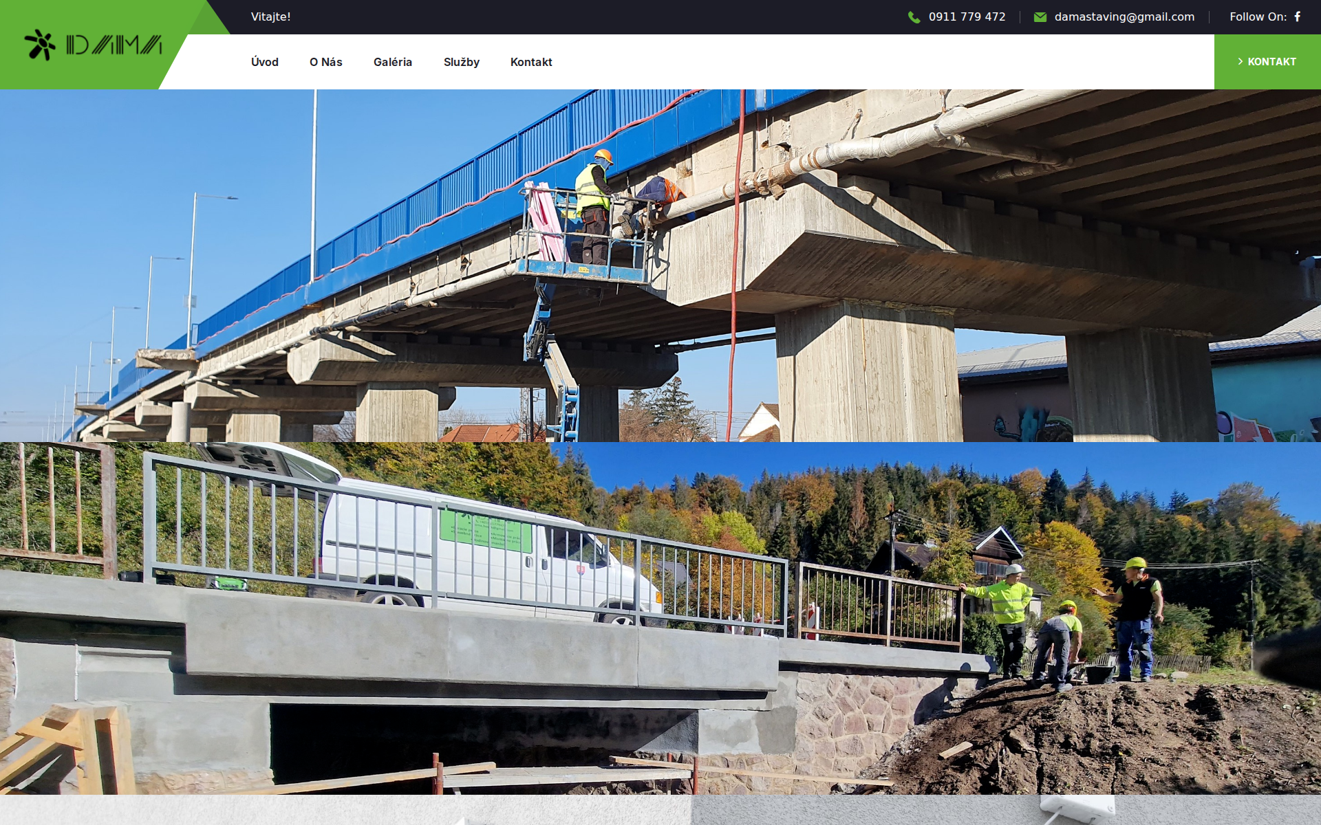 Náhľad webu damastaving.sk