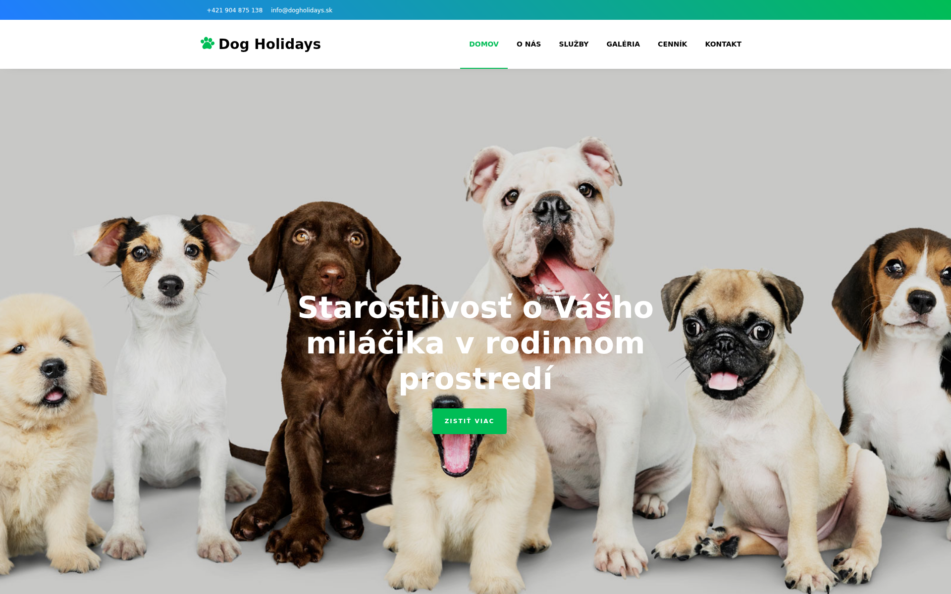 Náhľad webu dogholidays.sk