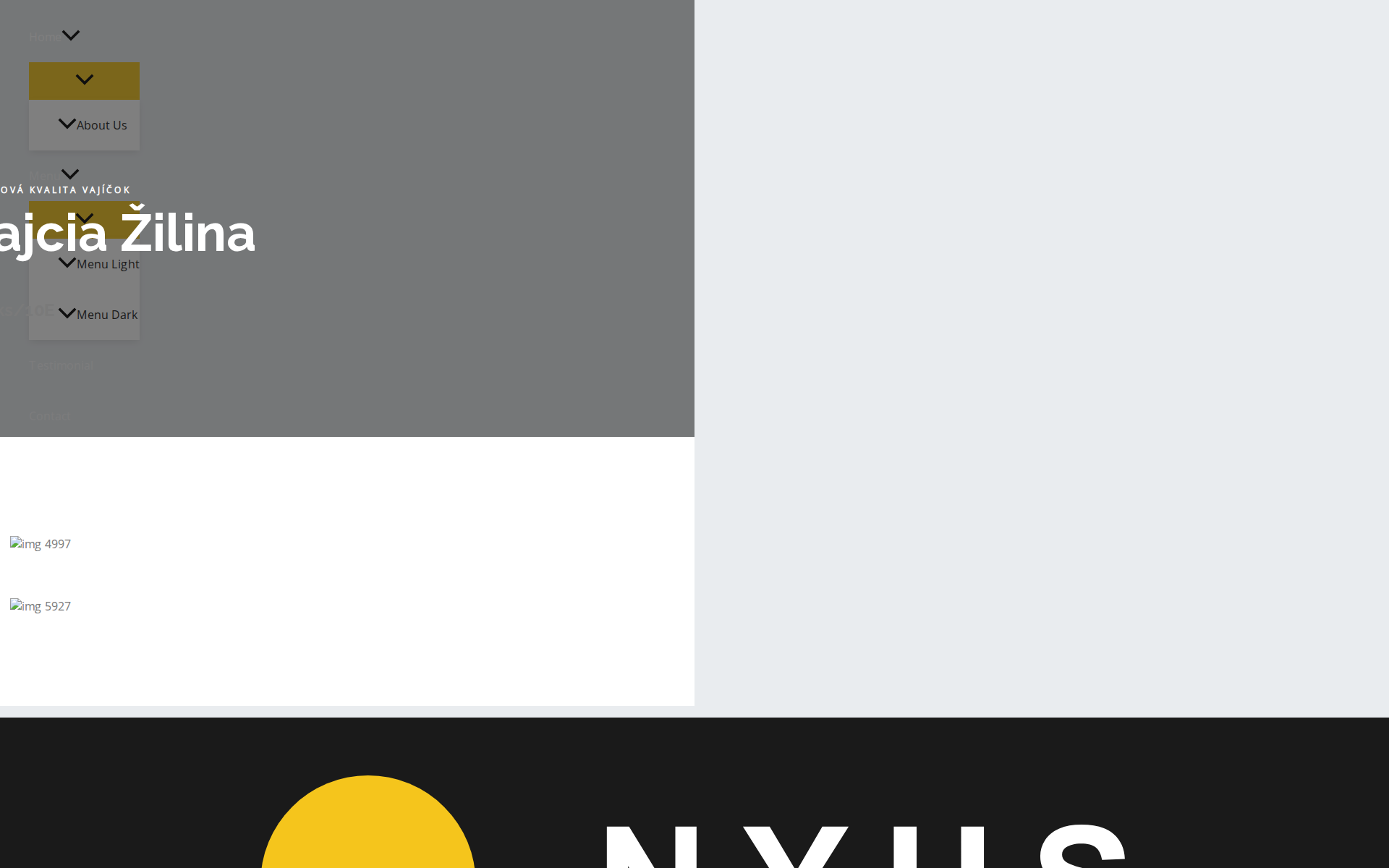 Náhľad webu domacevajciazilina.sk