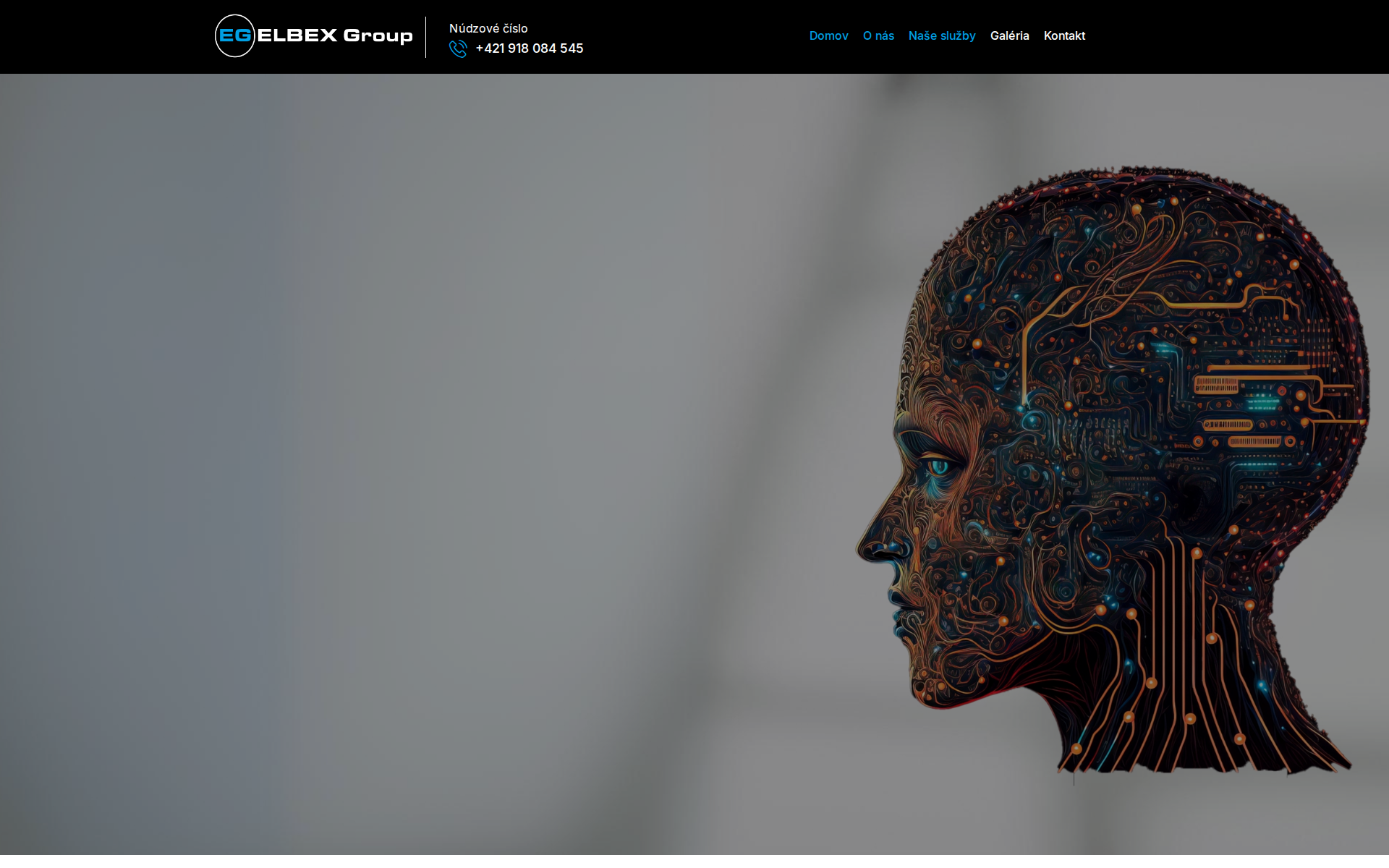 Náhľad webu elbexgroup.sk