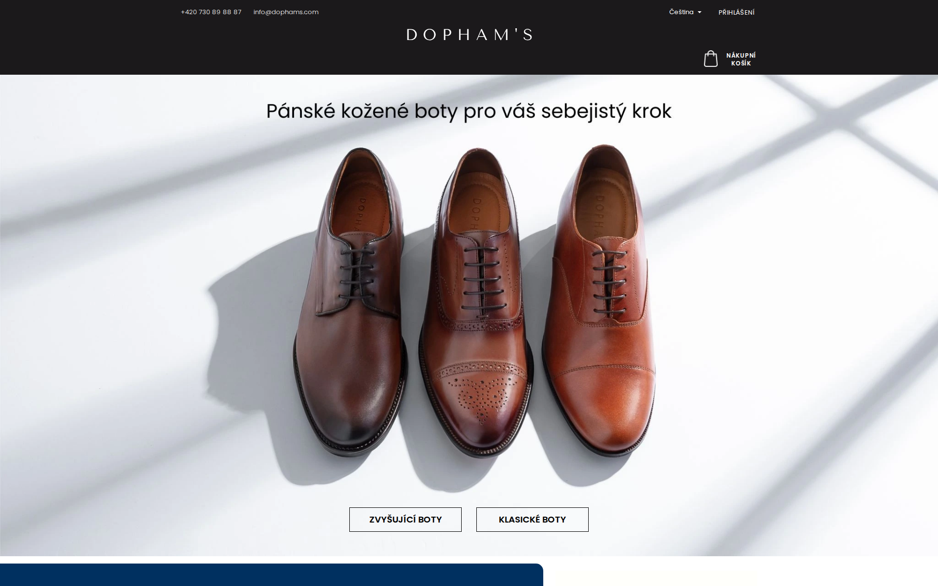 Náhľad webu elevatorshoes.sk