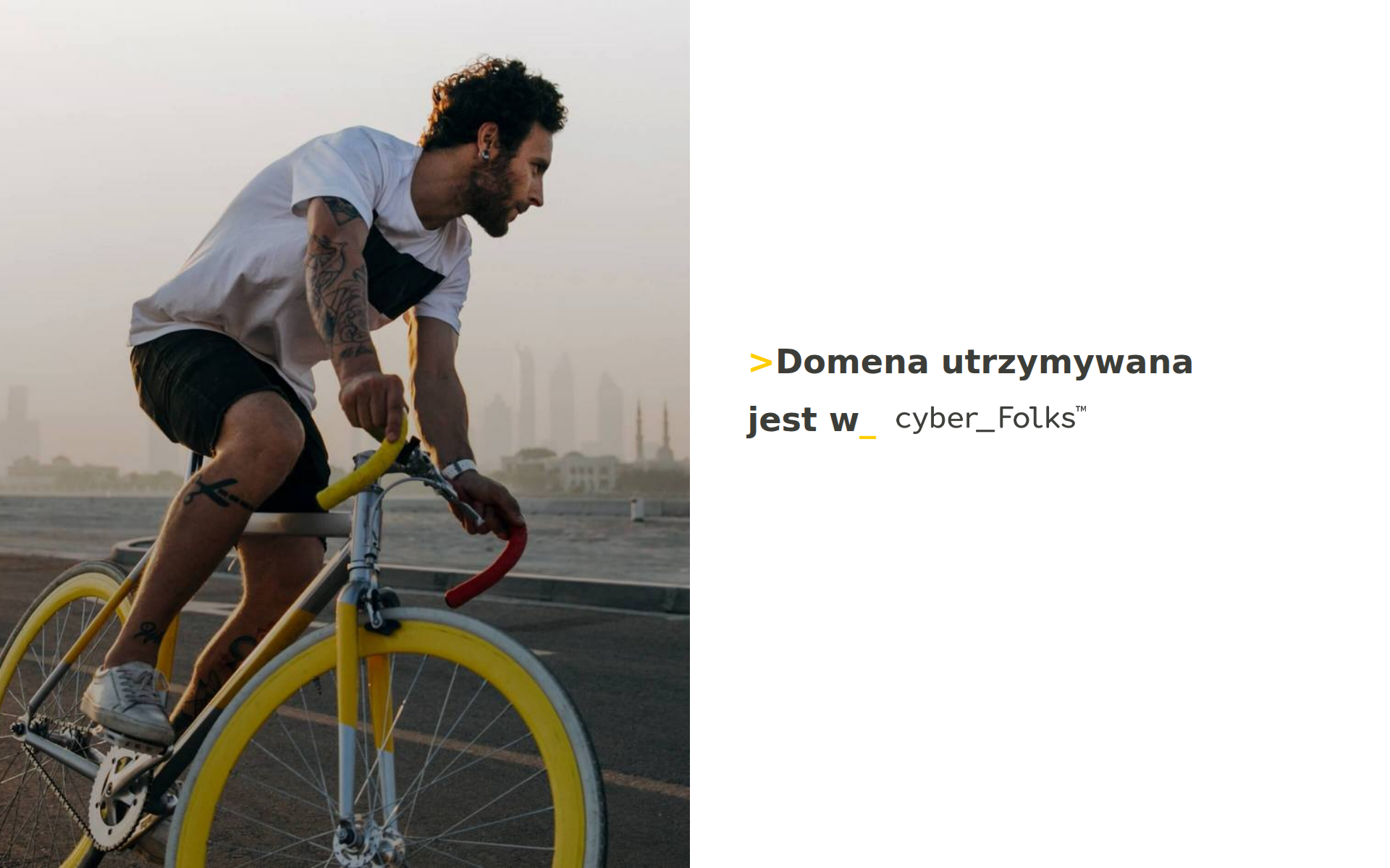 Náhľad webu fllys.sk