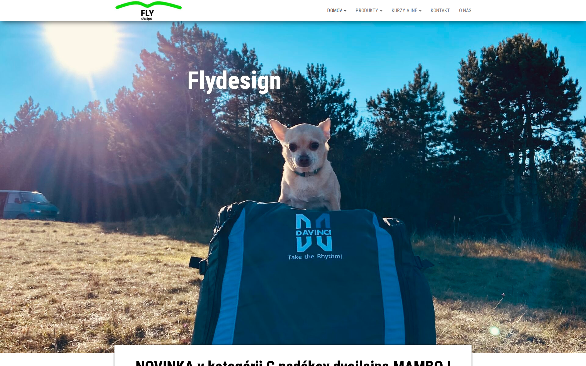 Náhľad webu flydesign.sk
