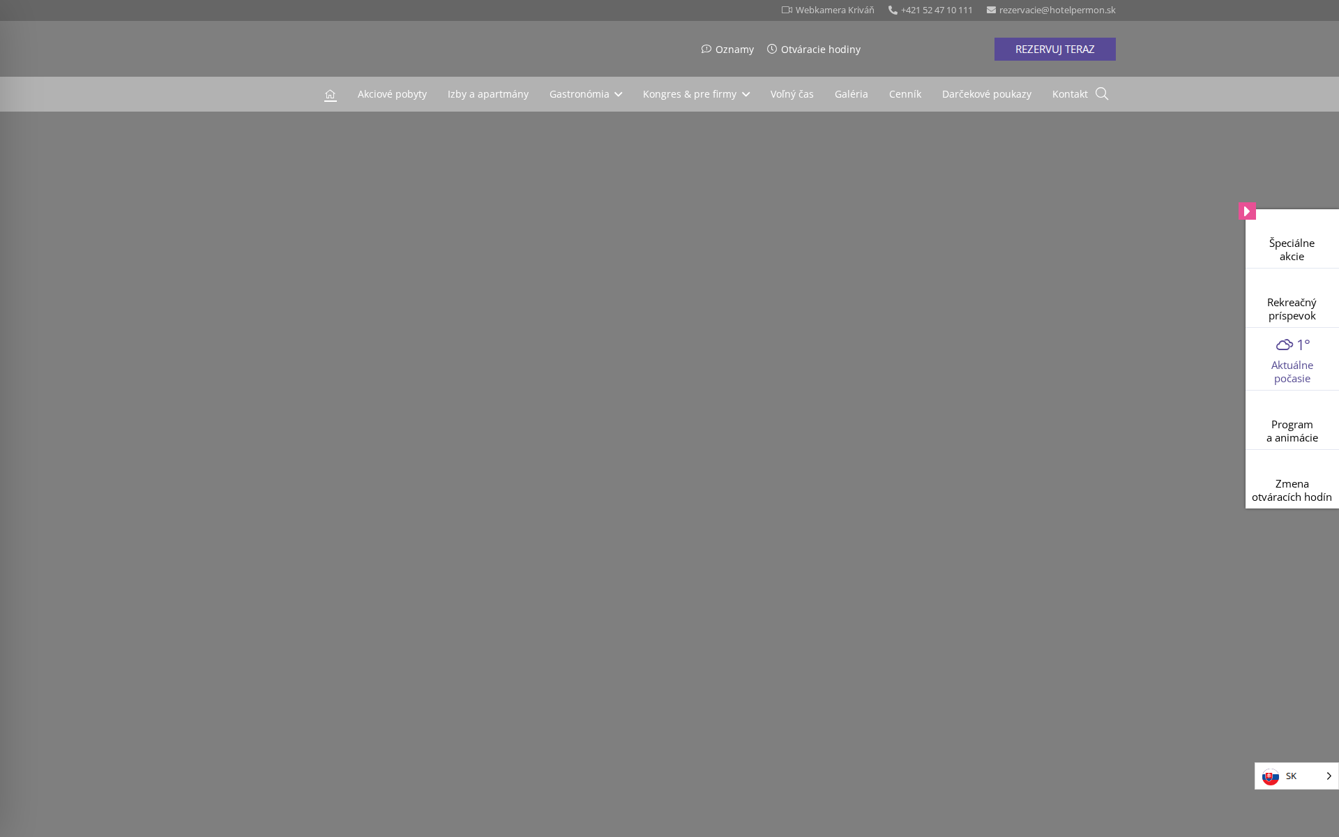Náhľad webu hotelpermon.sk