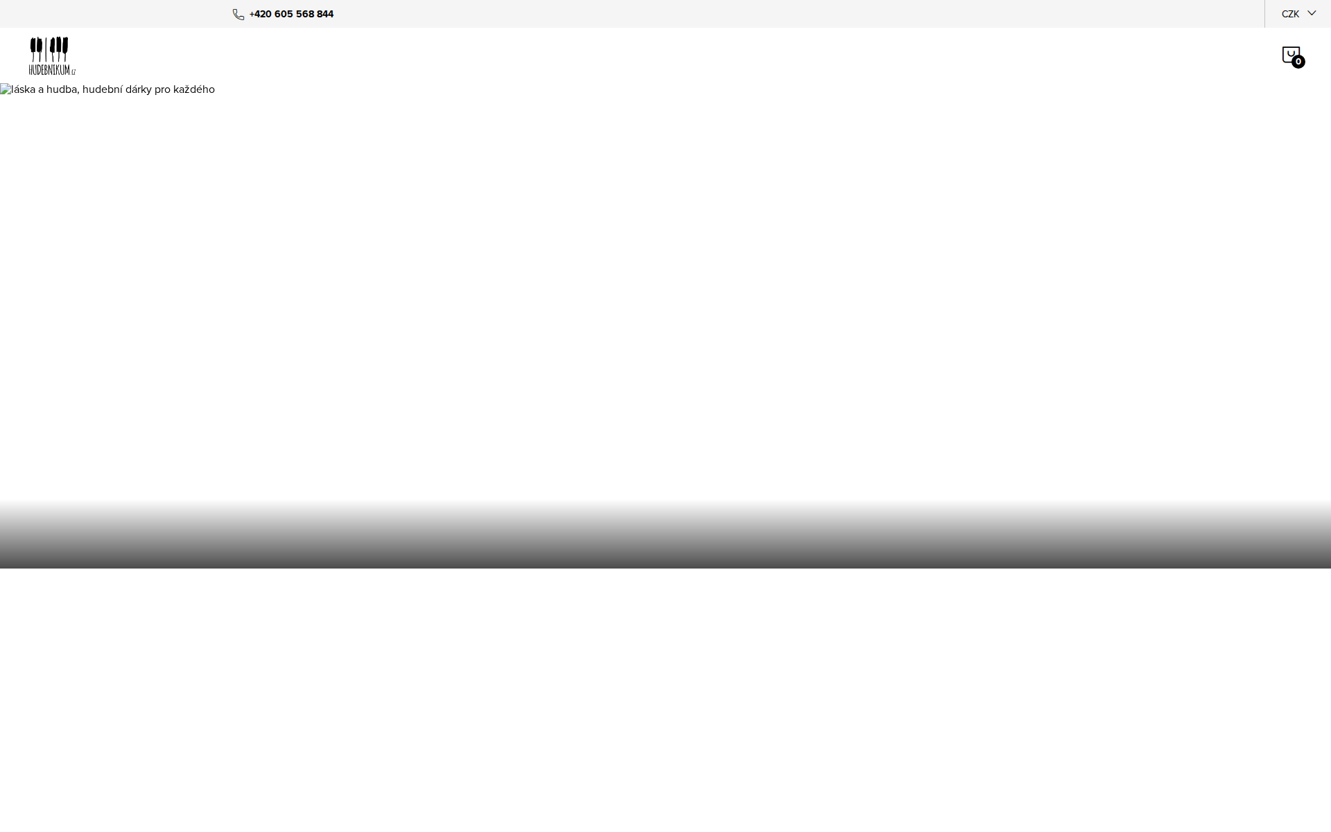 Náhľad webu hudobnikom.sk