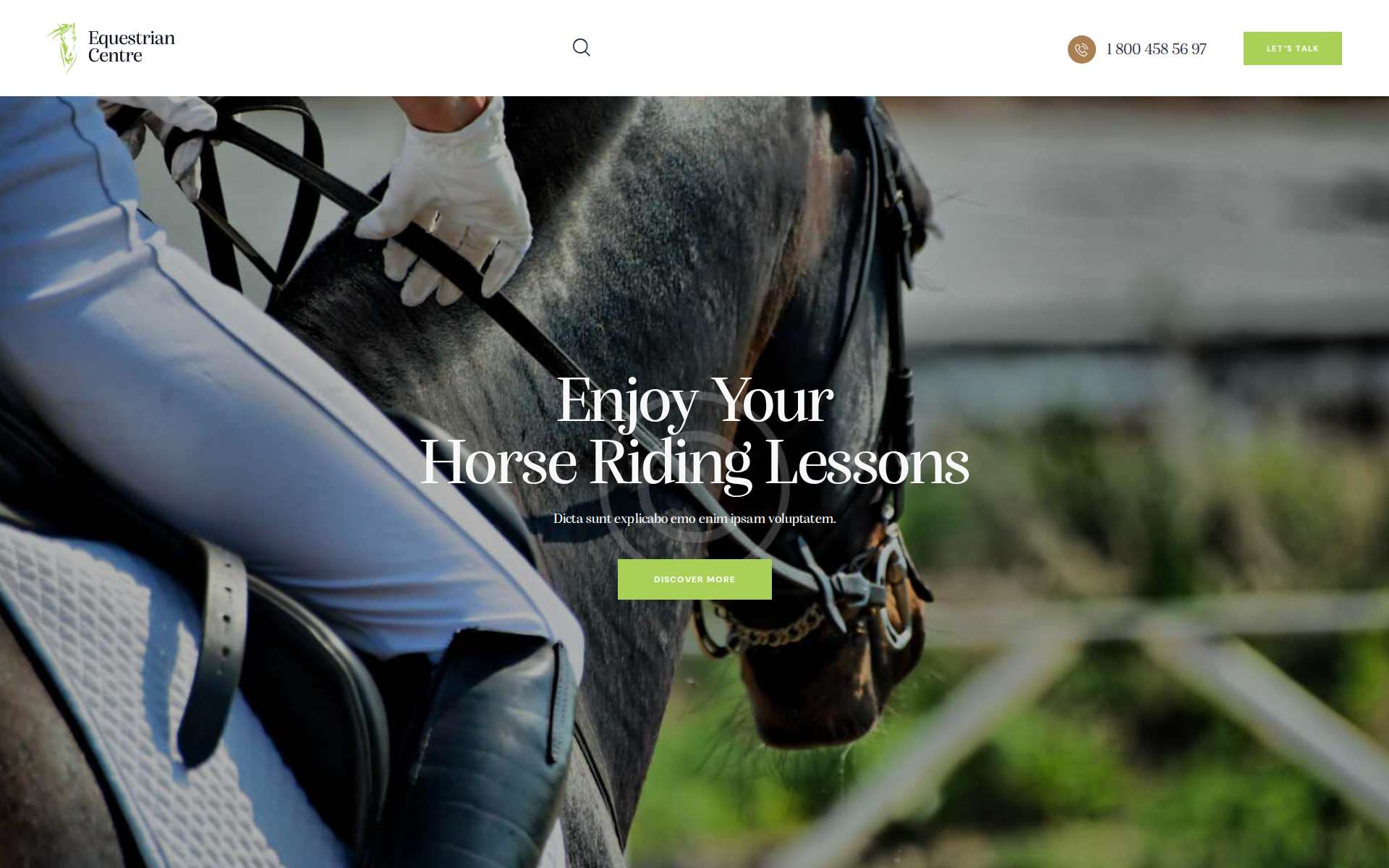 Náhľad webu jazdecka-akademia.sk