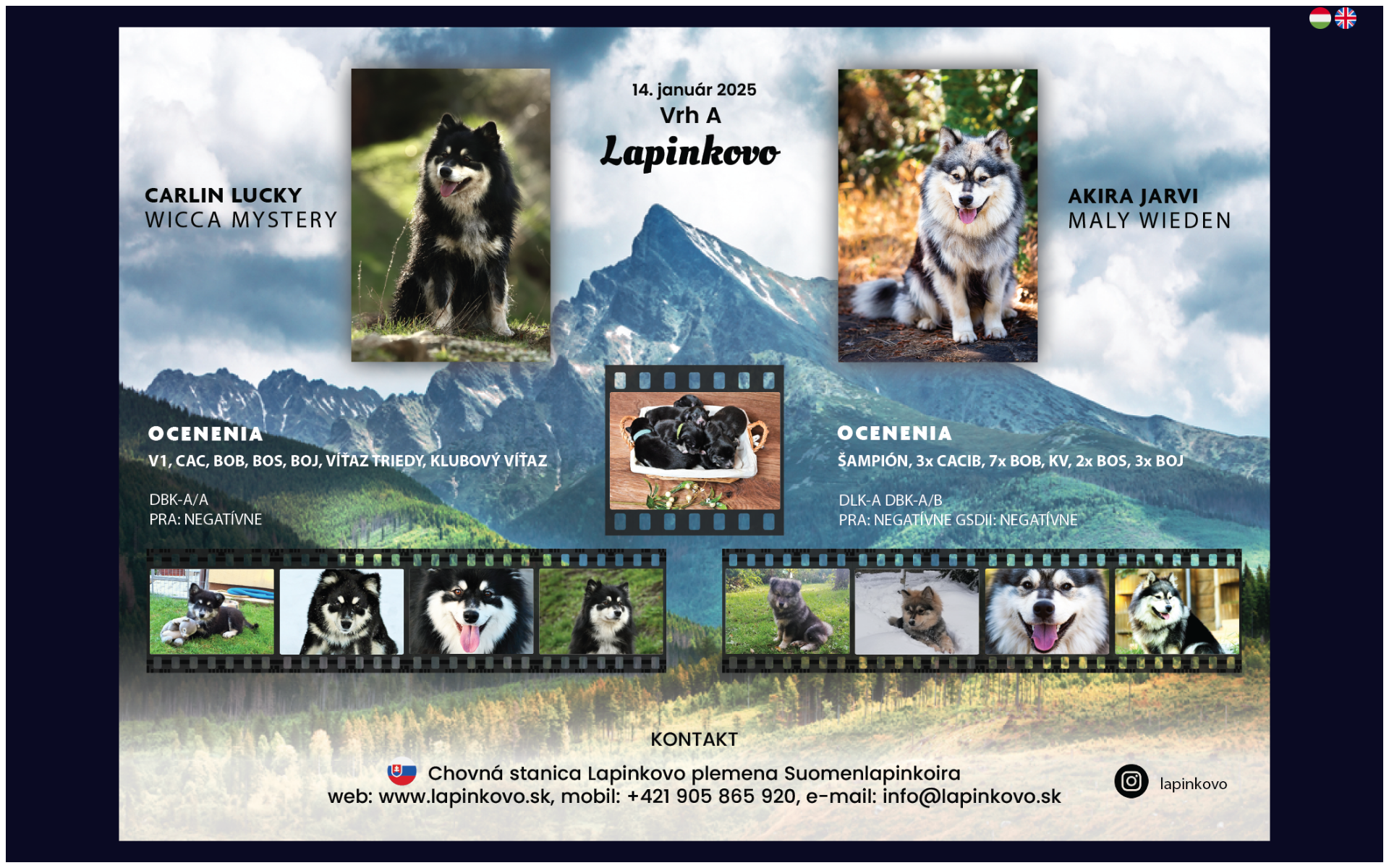 Náhľad webu lapinkovo.sk