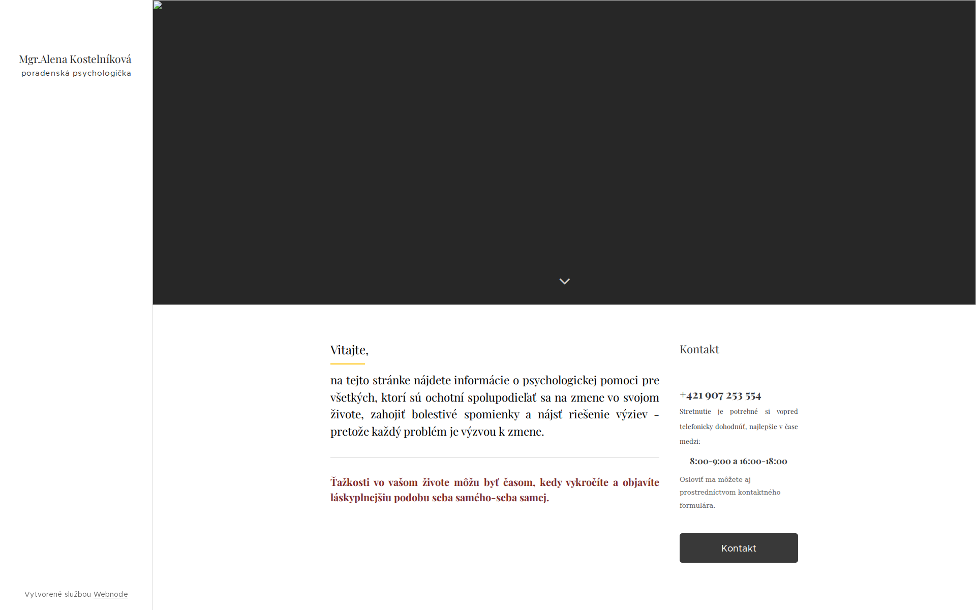 Náhľad webu lieciveslova.sk