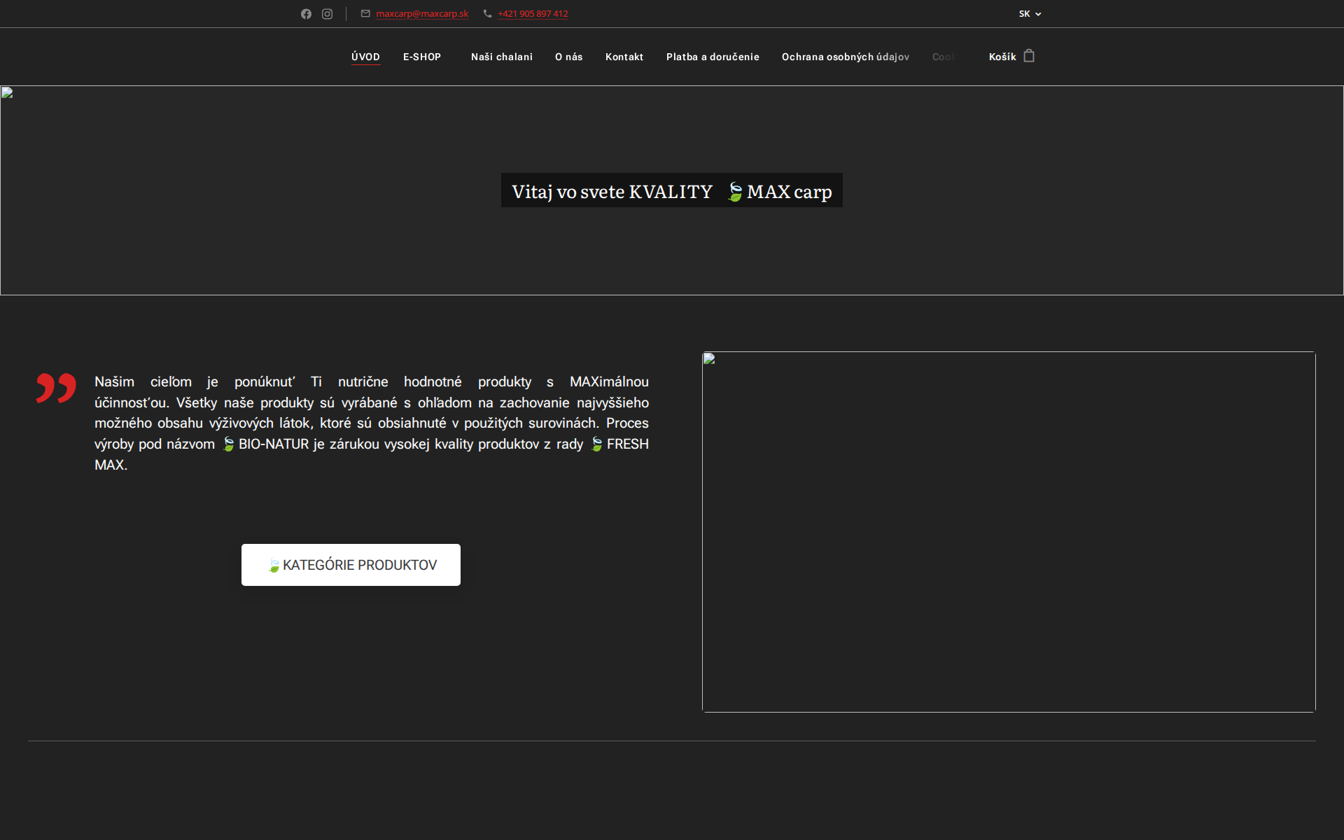 Náhľad webu maxcarp.sk