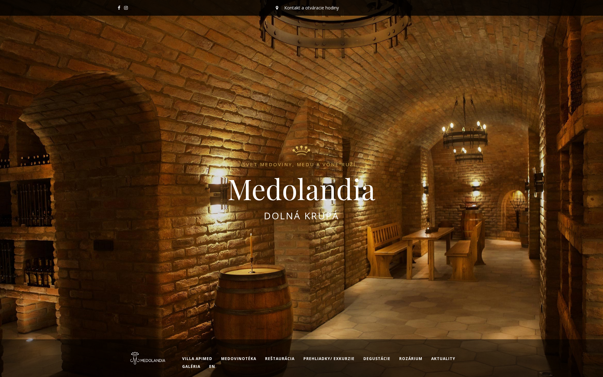 Náhľad webu medolandia.sk