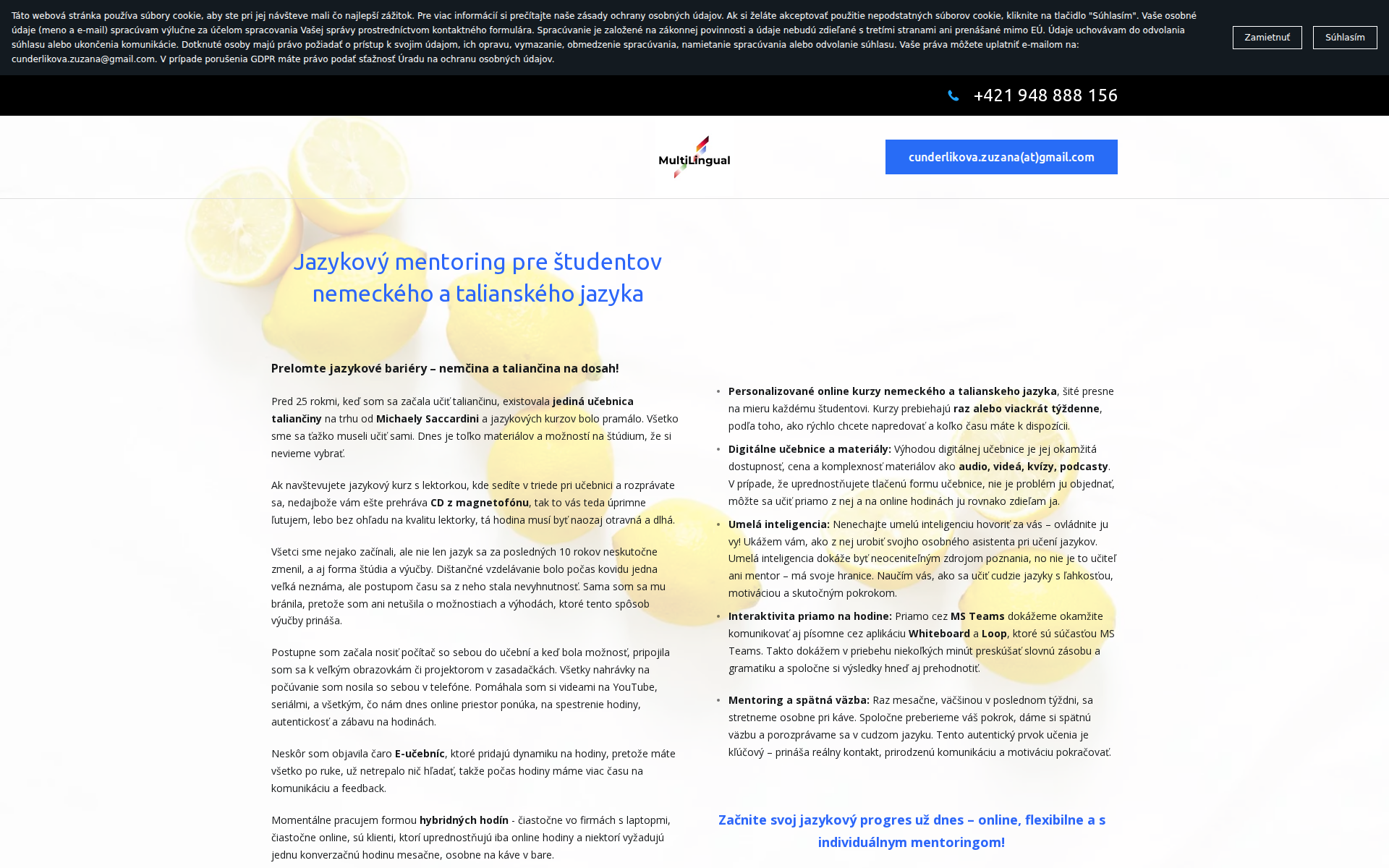 Náhľad webu multilingual.sk