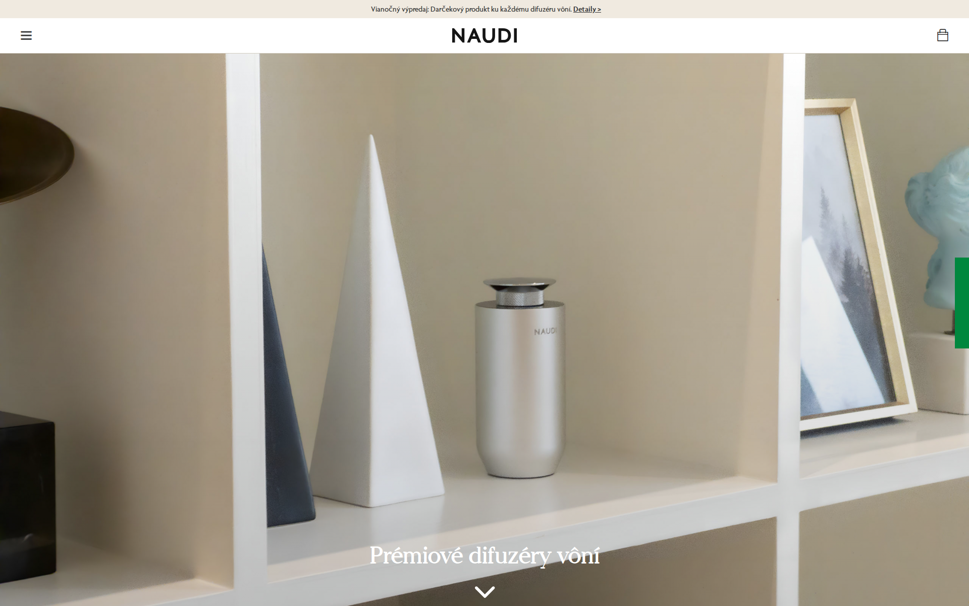 Náhľad webu naudi.sk