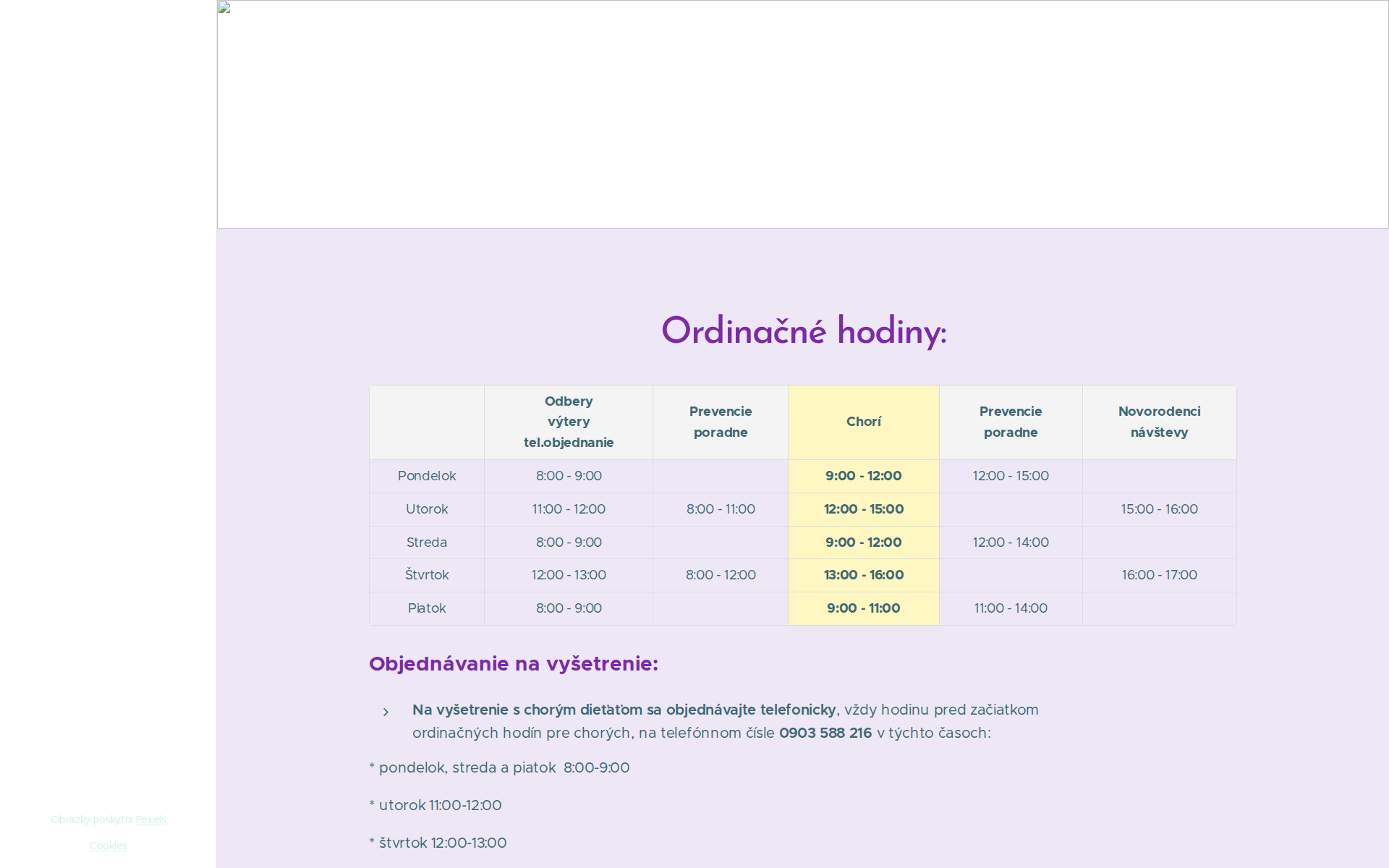 Náhľad webu novapediatria.sk