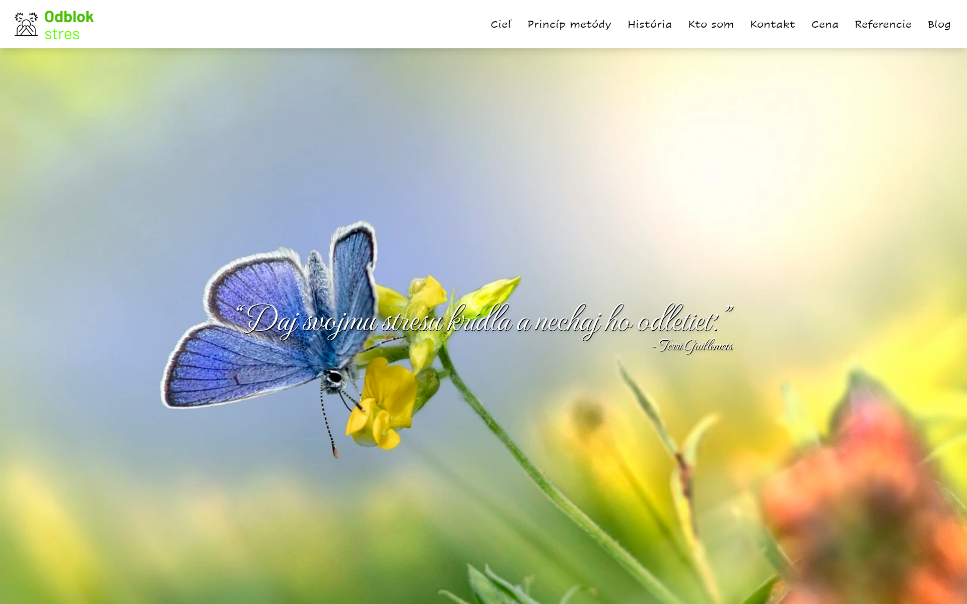 Náhľad webu one-brain.sk