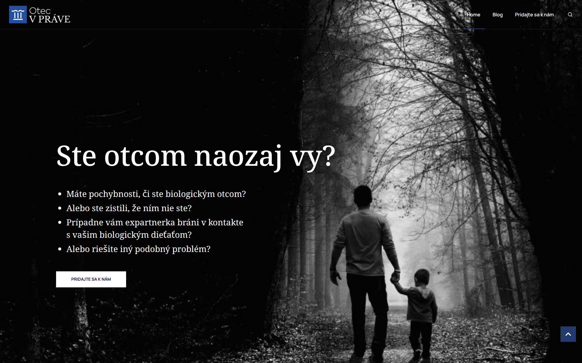 Náhľad webu otec-v-prave.sk