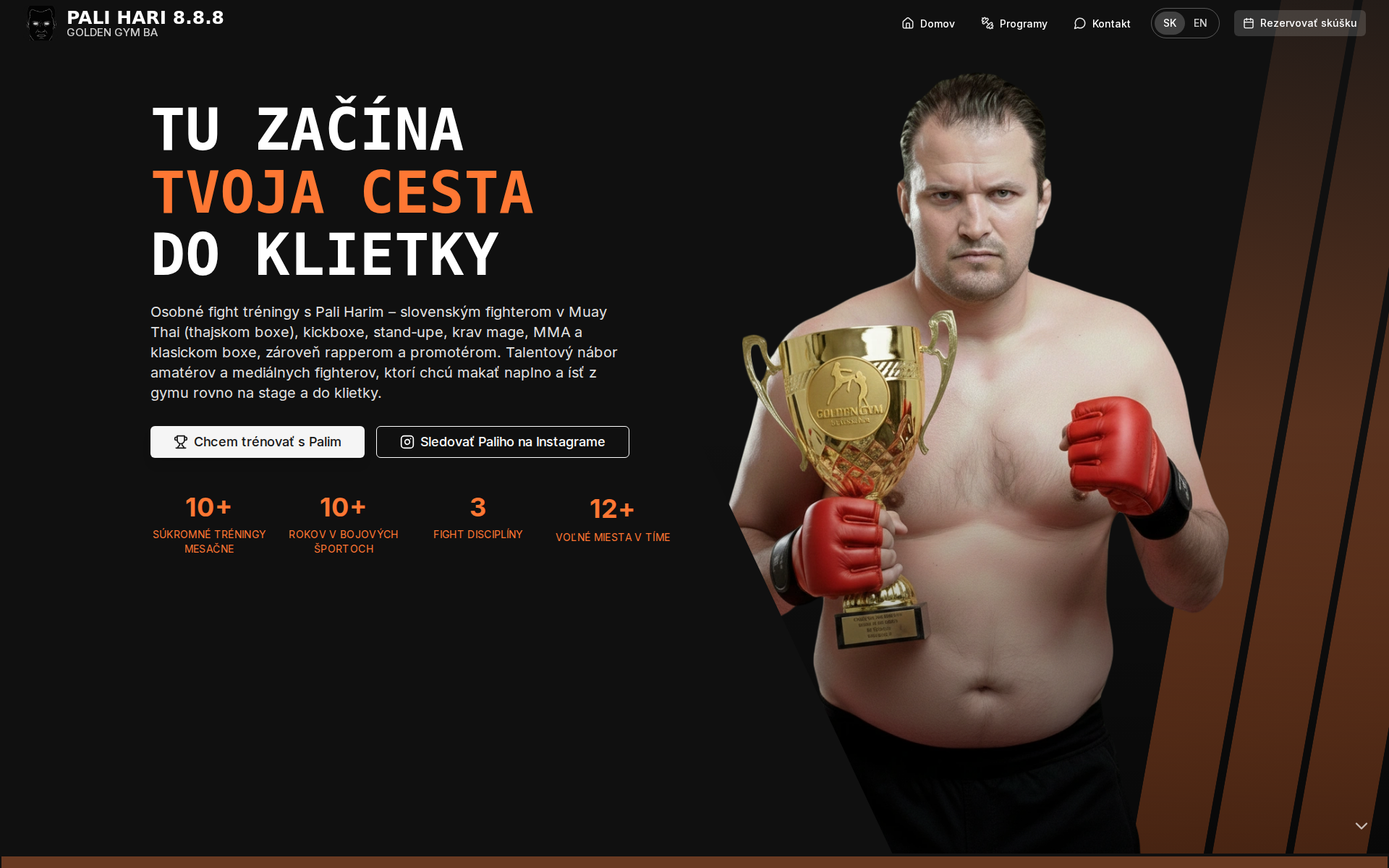 Náhľad webu palihari888.sk