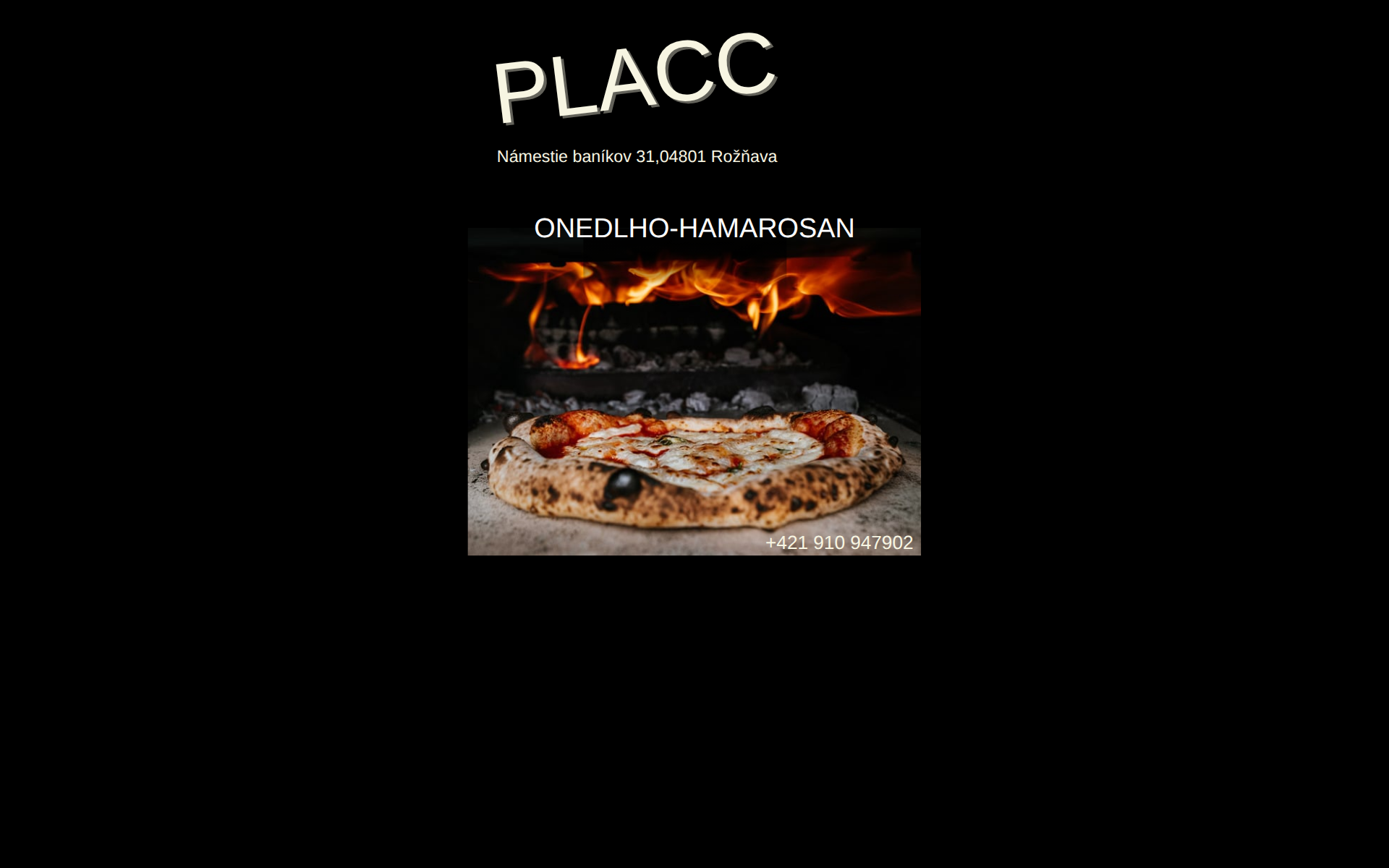 Náhľad webu placc.sk