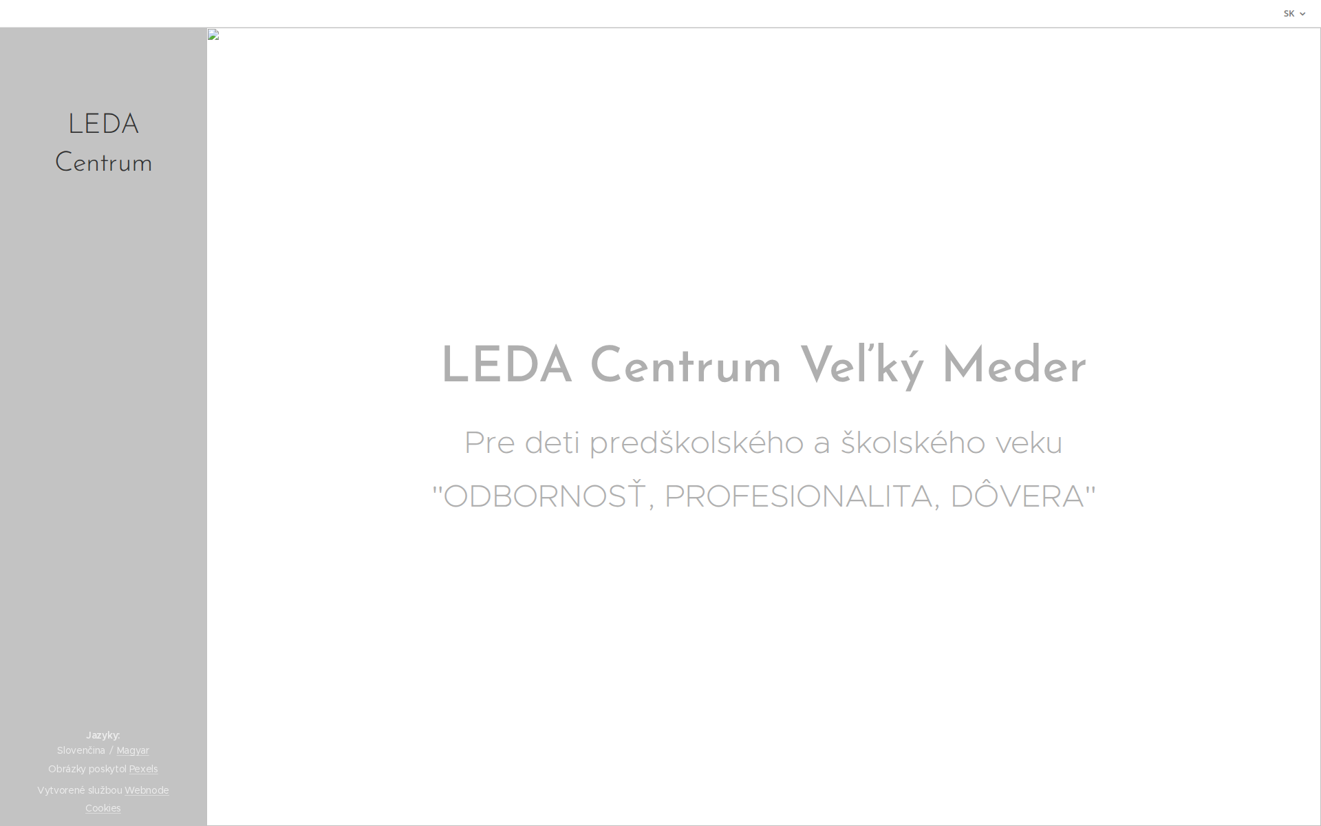 Náhľad webu pohybova-terapia.sk