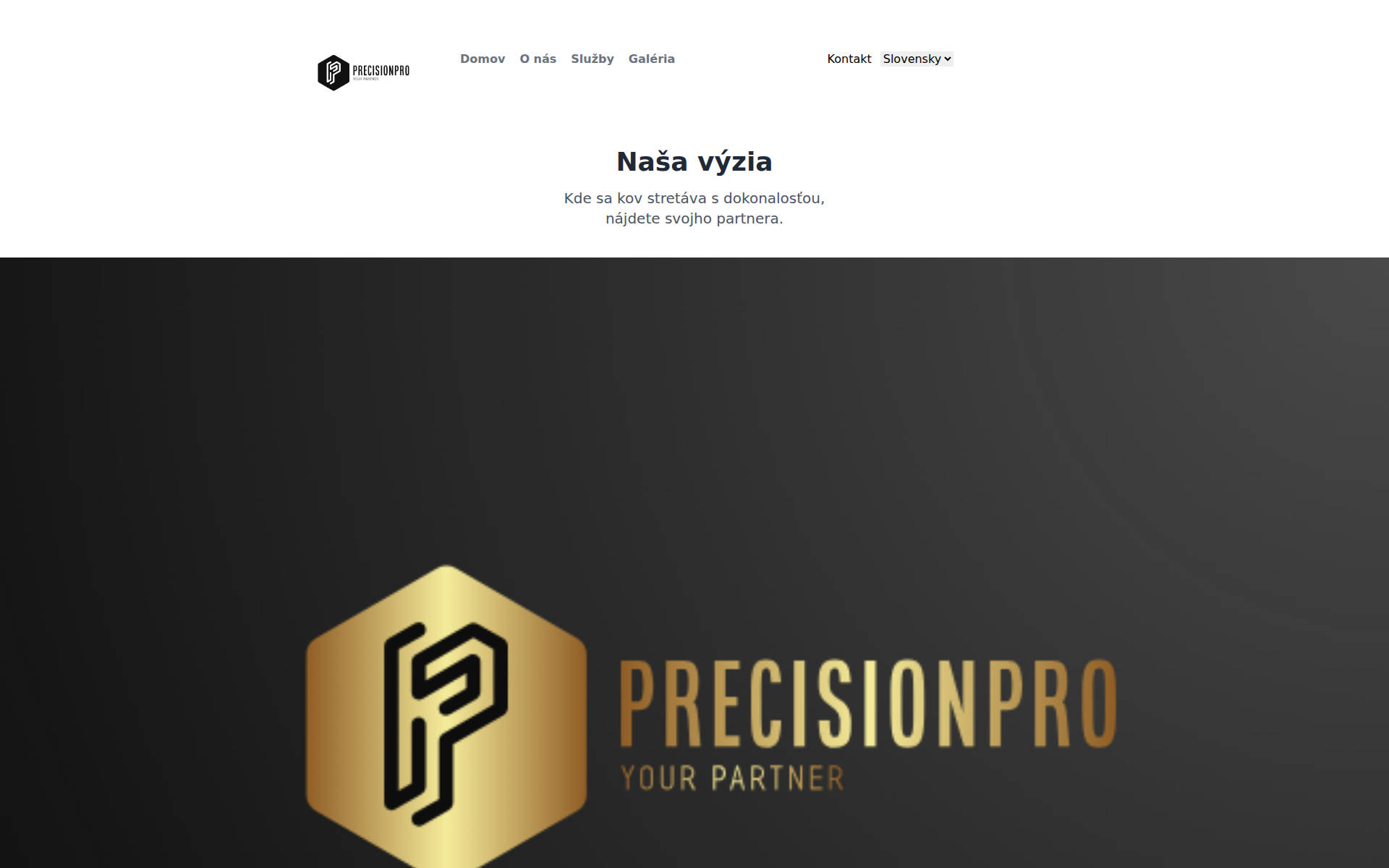Náhľad webu precisionpro.sk