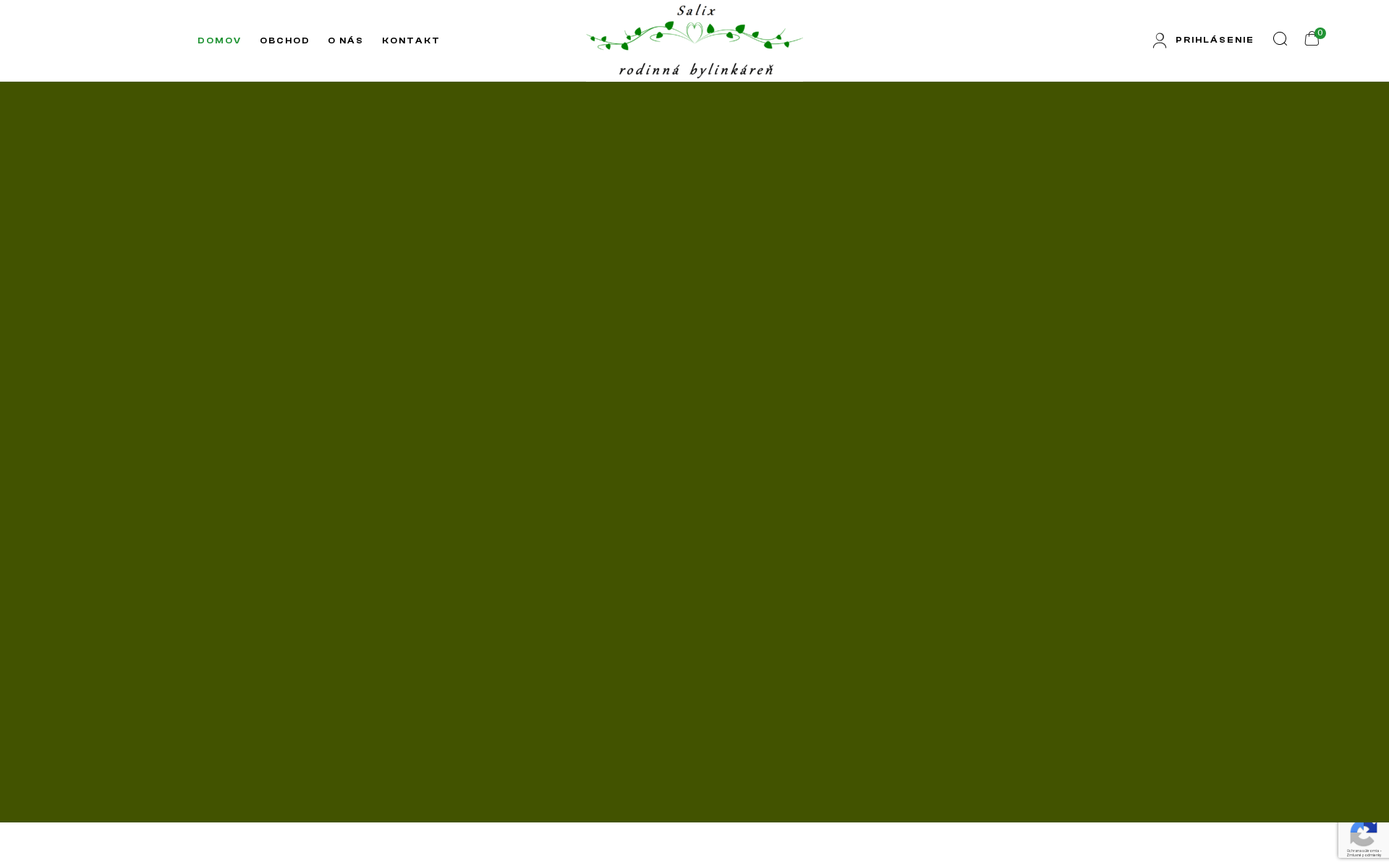 Náhľad webu salix.sk
