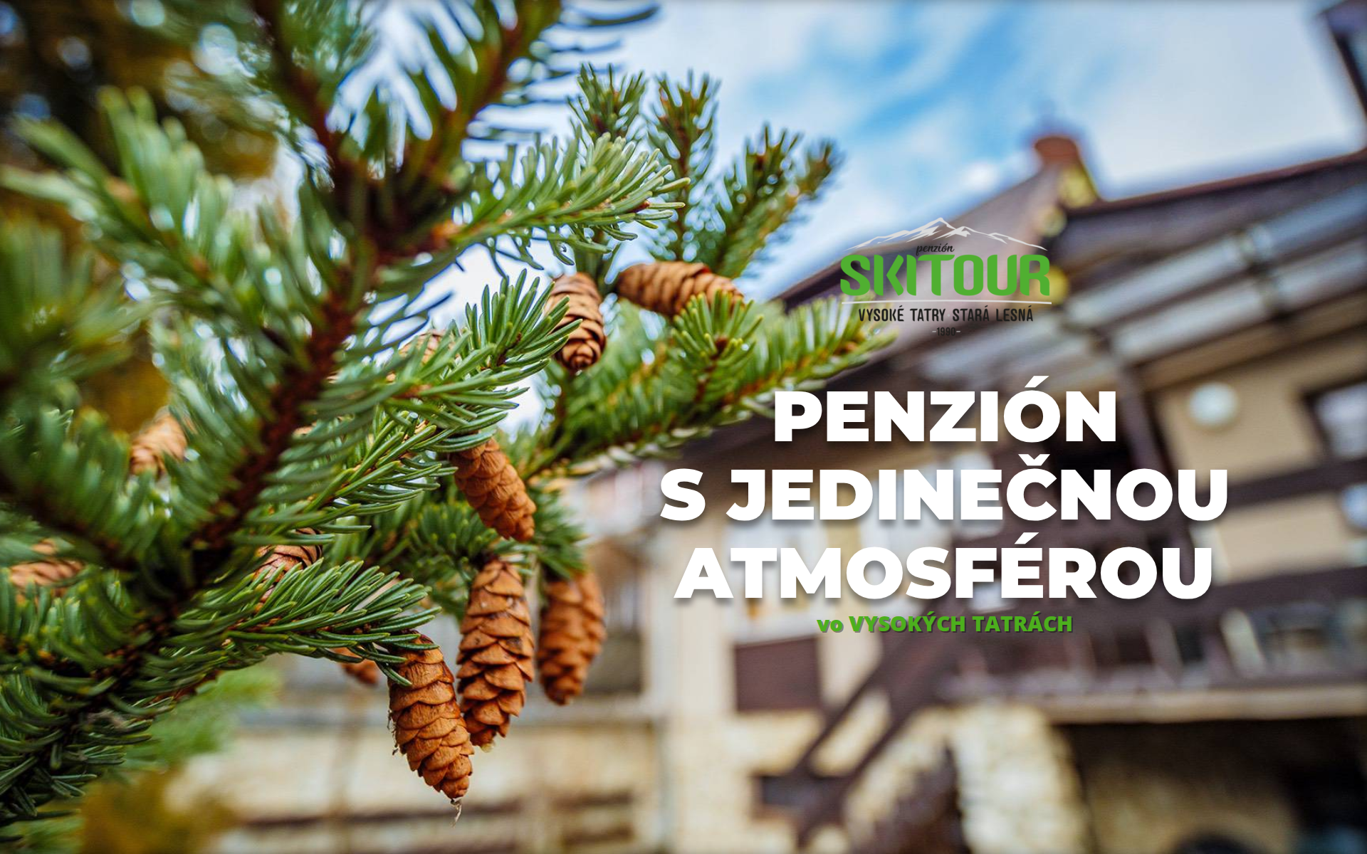 Náhľad webu skitour.sk