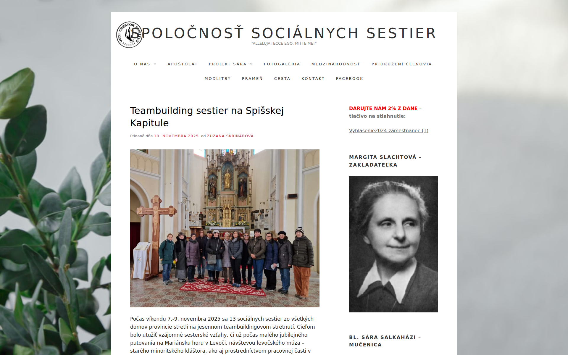 Náhľad webu socialnesestry.sk