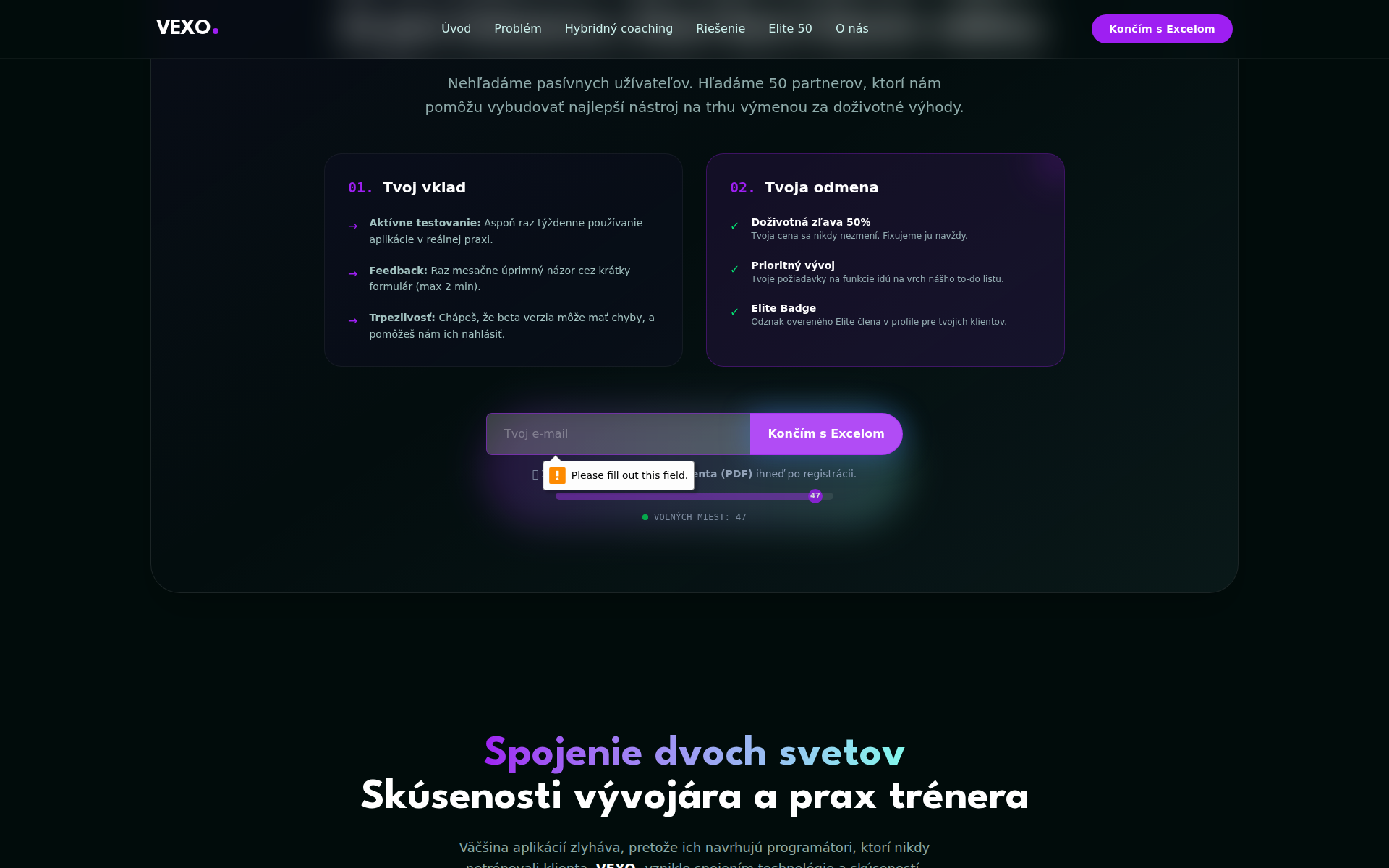 Náhľad webu sydo.sk