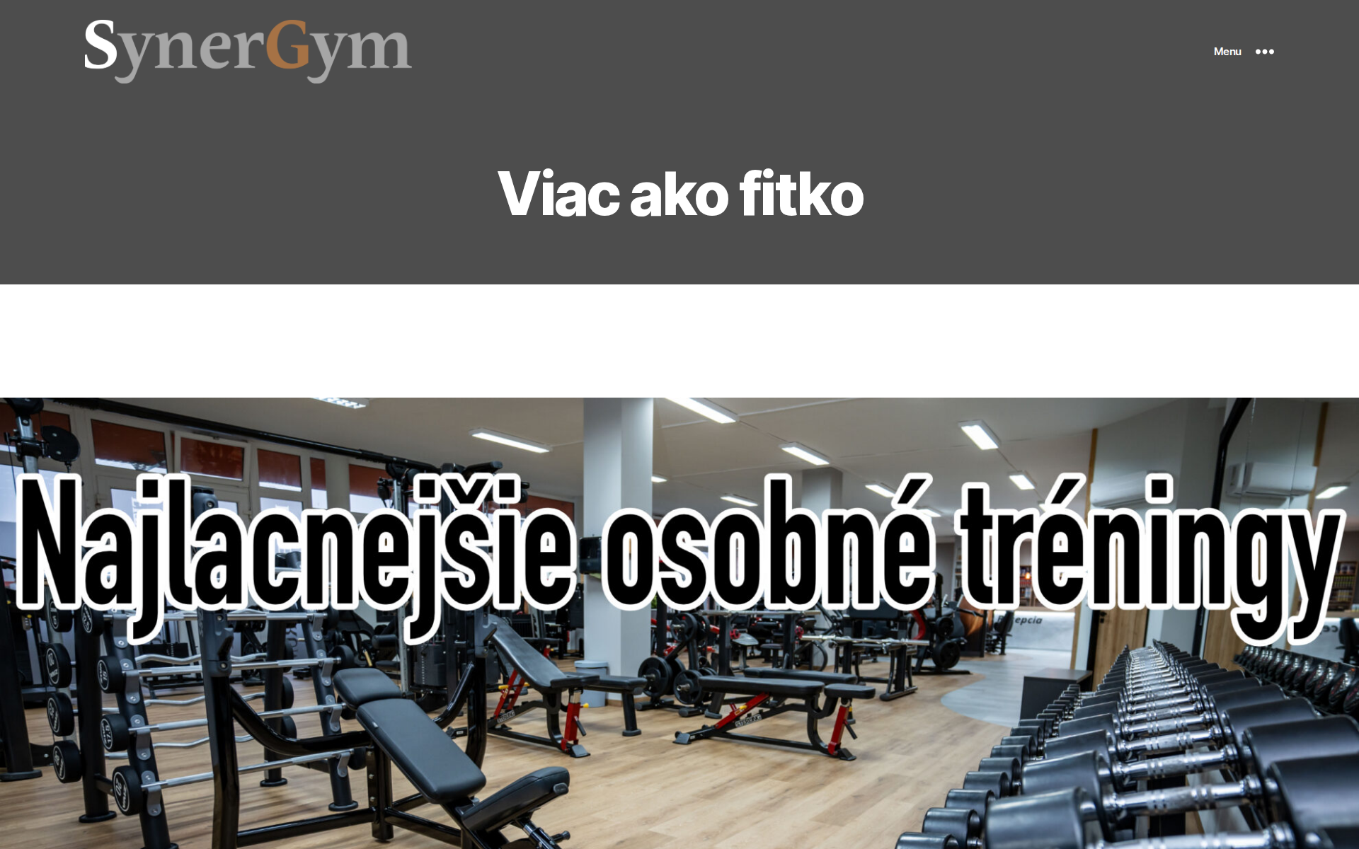 Náhľad webu synergym.sk
