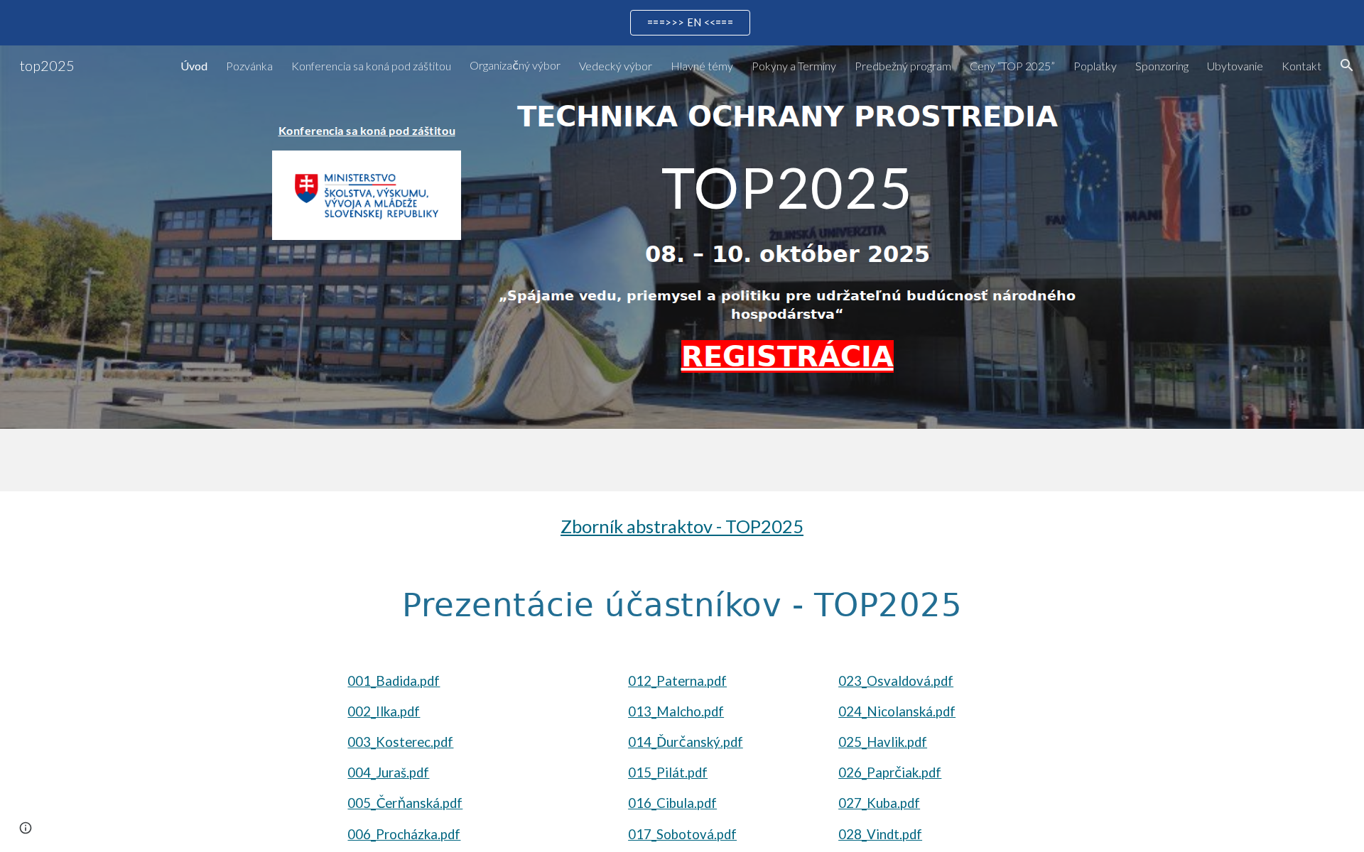 Náhľad webu top2025.sk