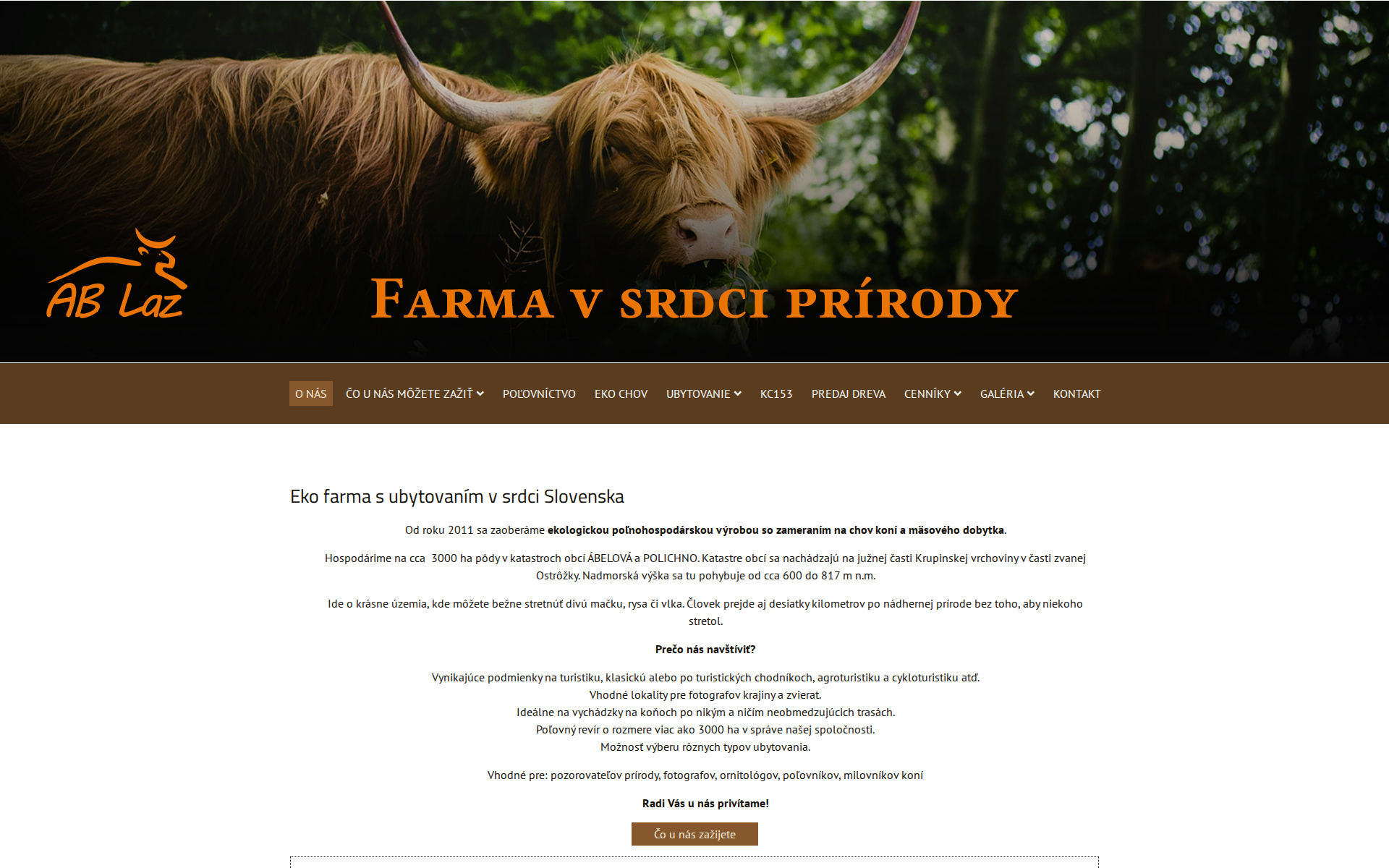 Náhľad webu ubytovanieabelova.sk