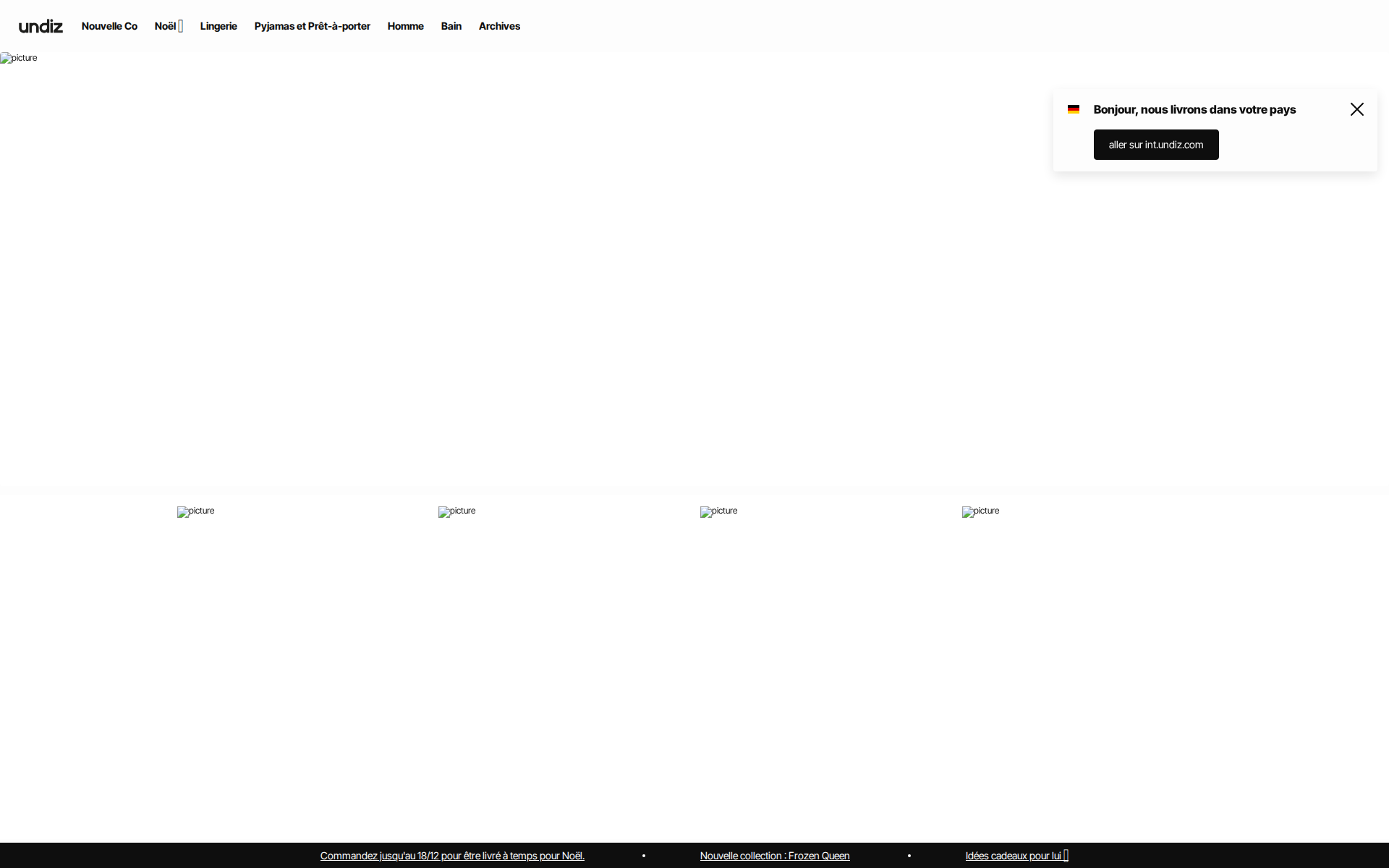 Náhľad webu undiz.sk