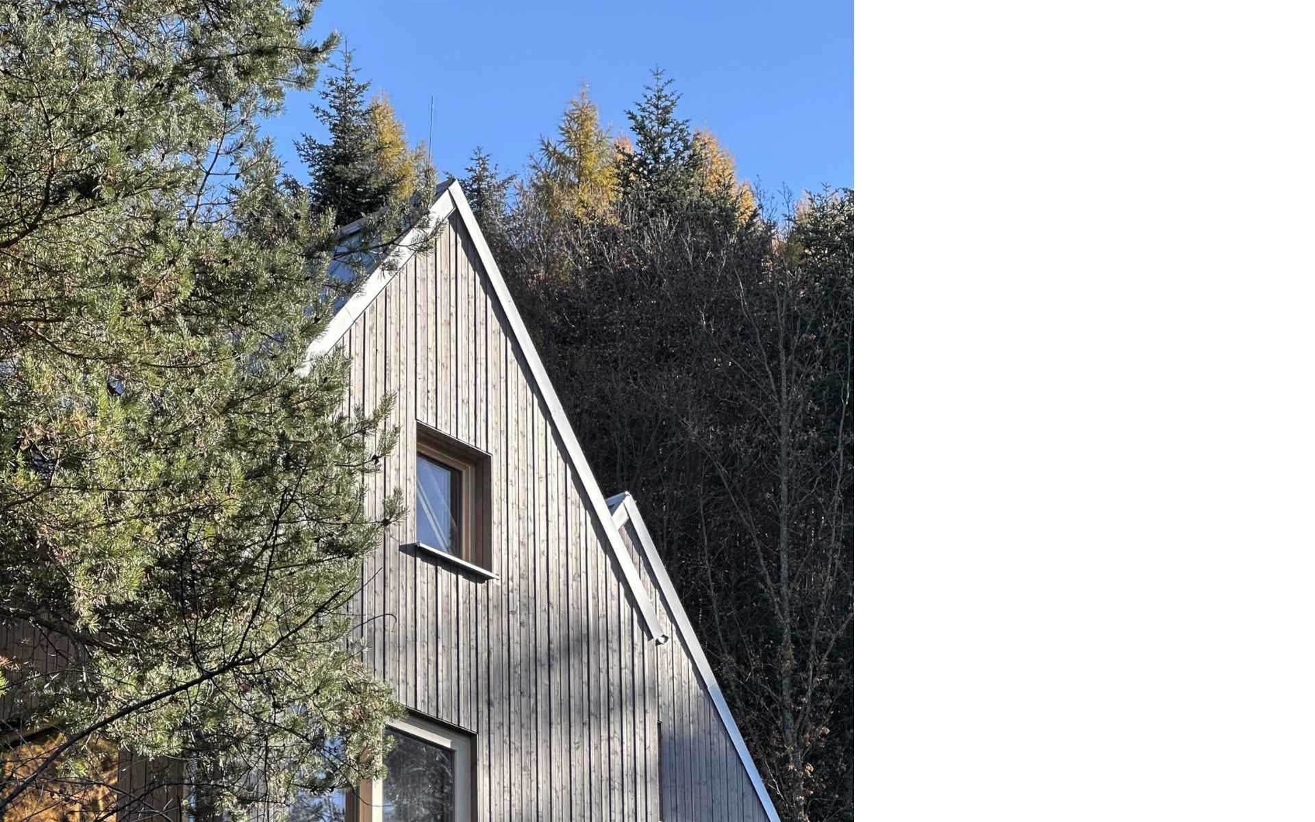 Náhľad webu valencinvalencinova.sk