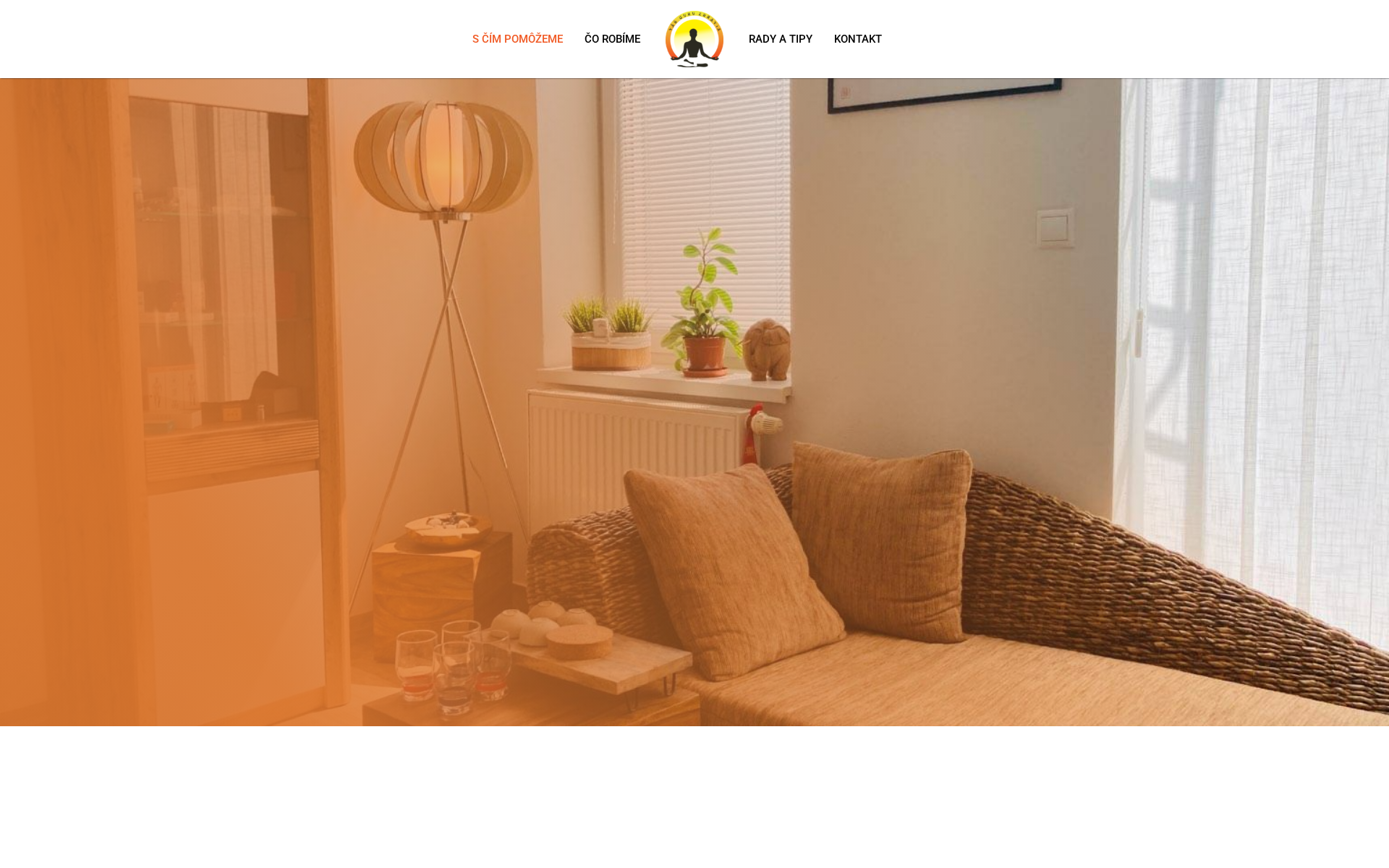 Náhľad webu vasguru.sk