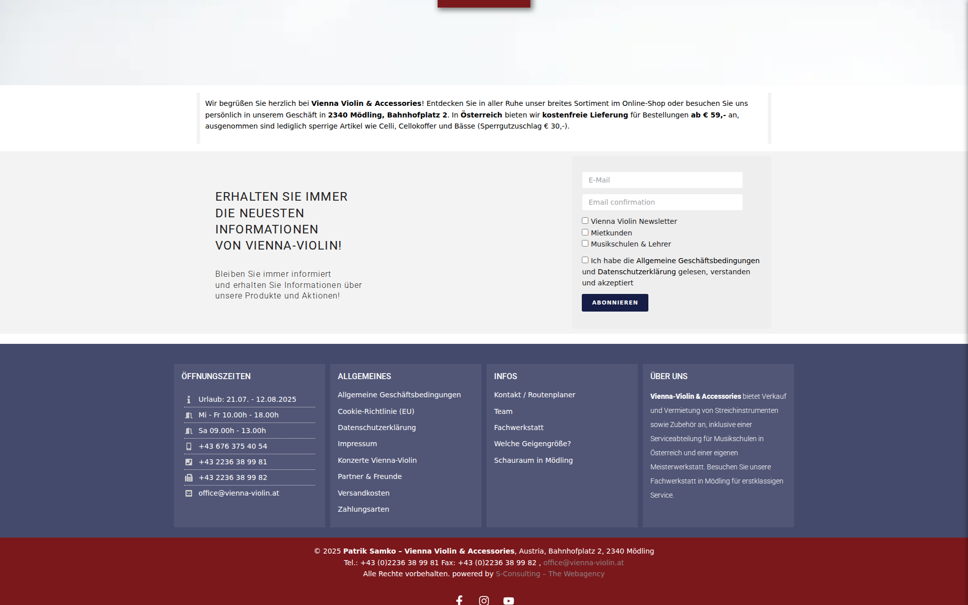 Náhľad webu vienna-violin.sk