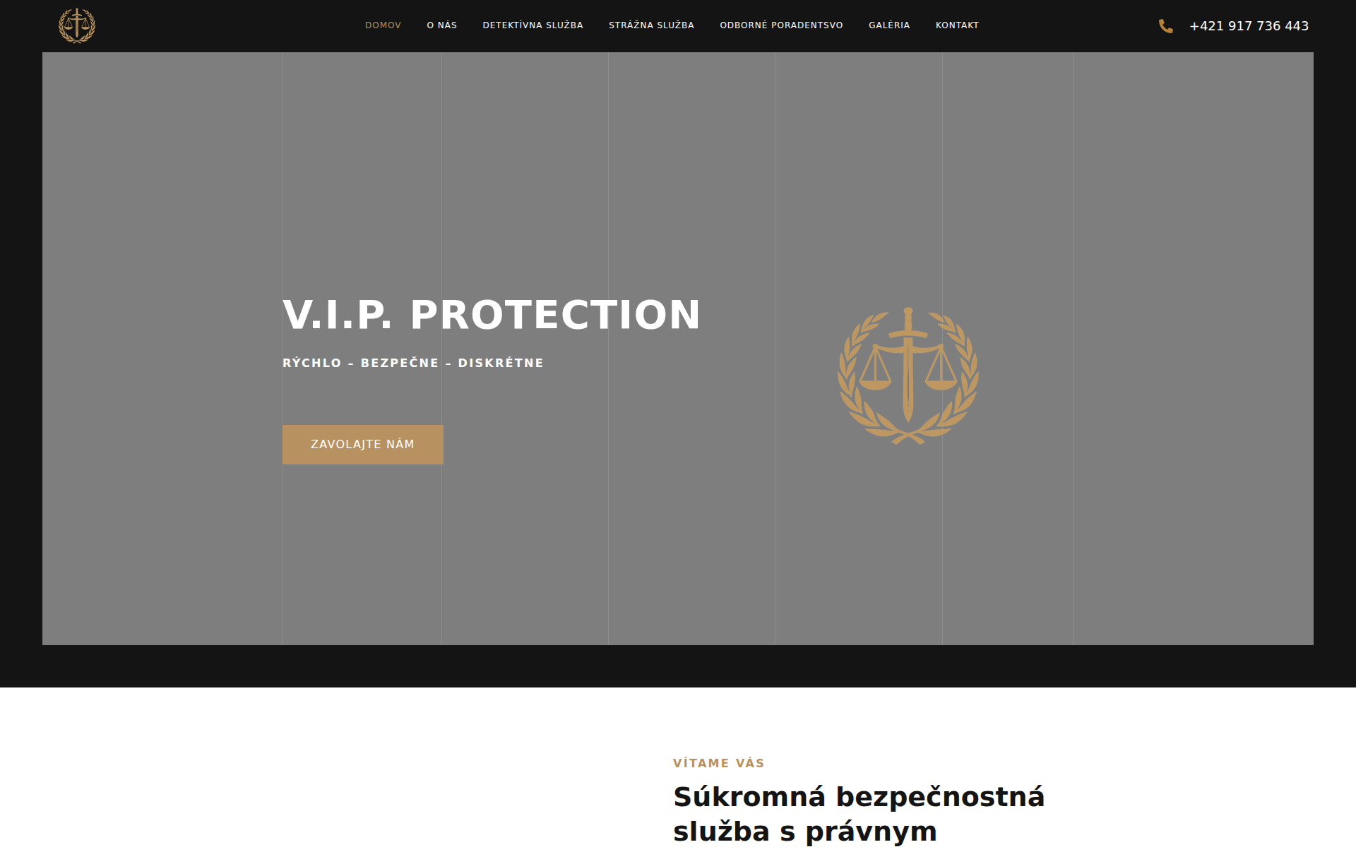 Náhľad webu vipprotection.sk