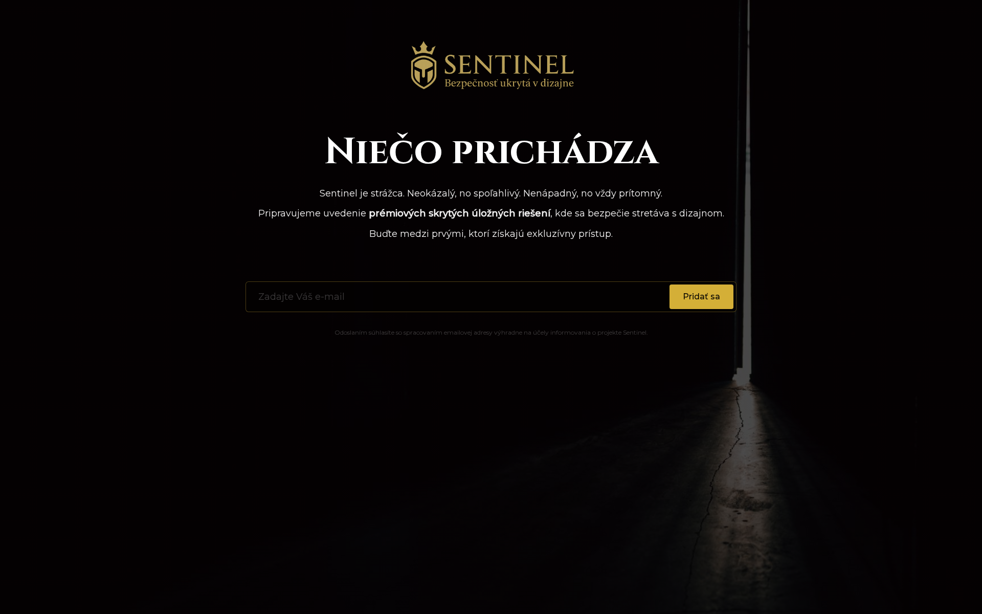 Náhľad webu yoursentinel.sk